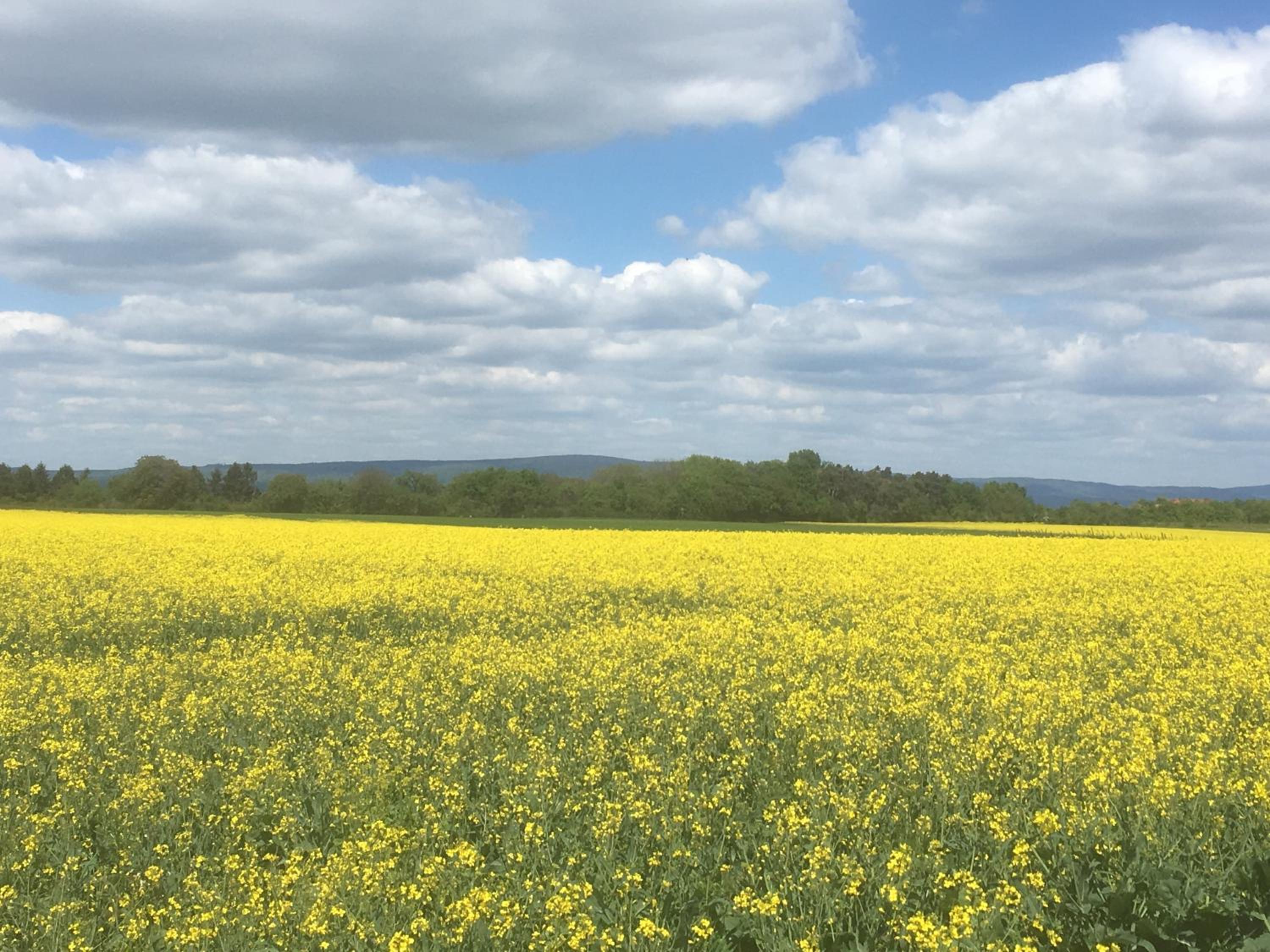 Ferienwohnungen In de goldisch Luft view 2