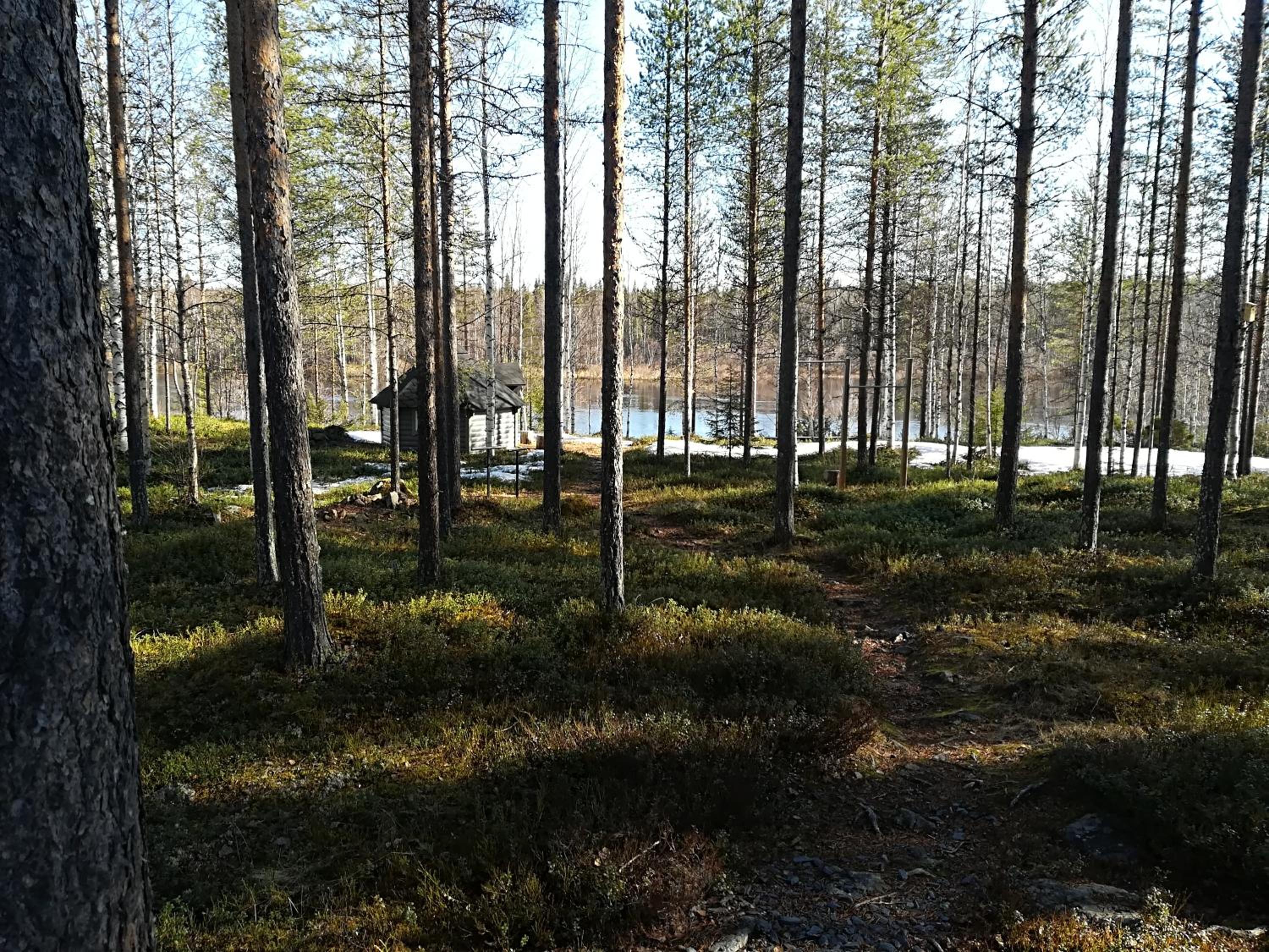 Photo 47