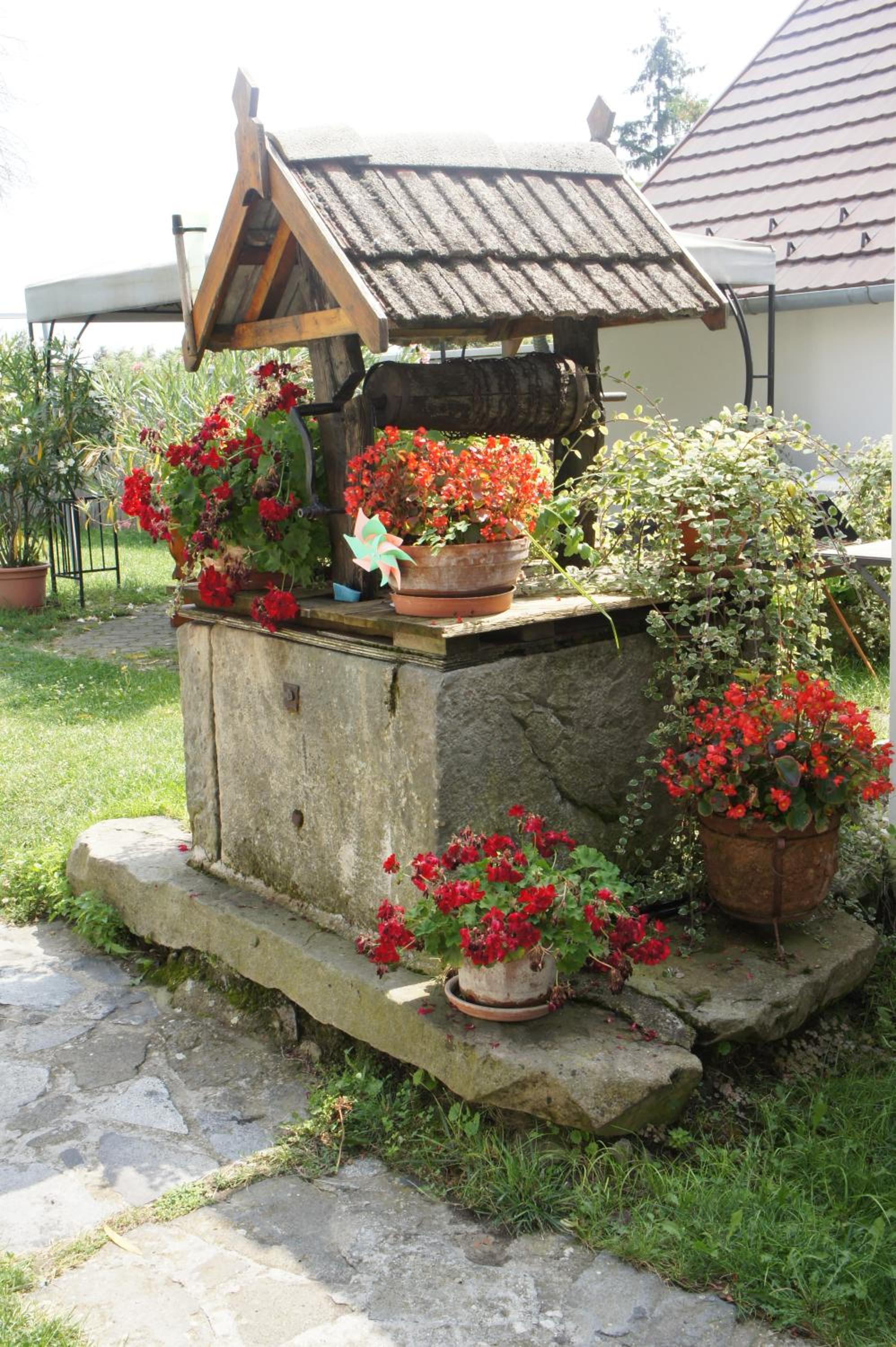Photo 40