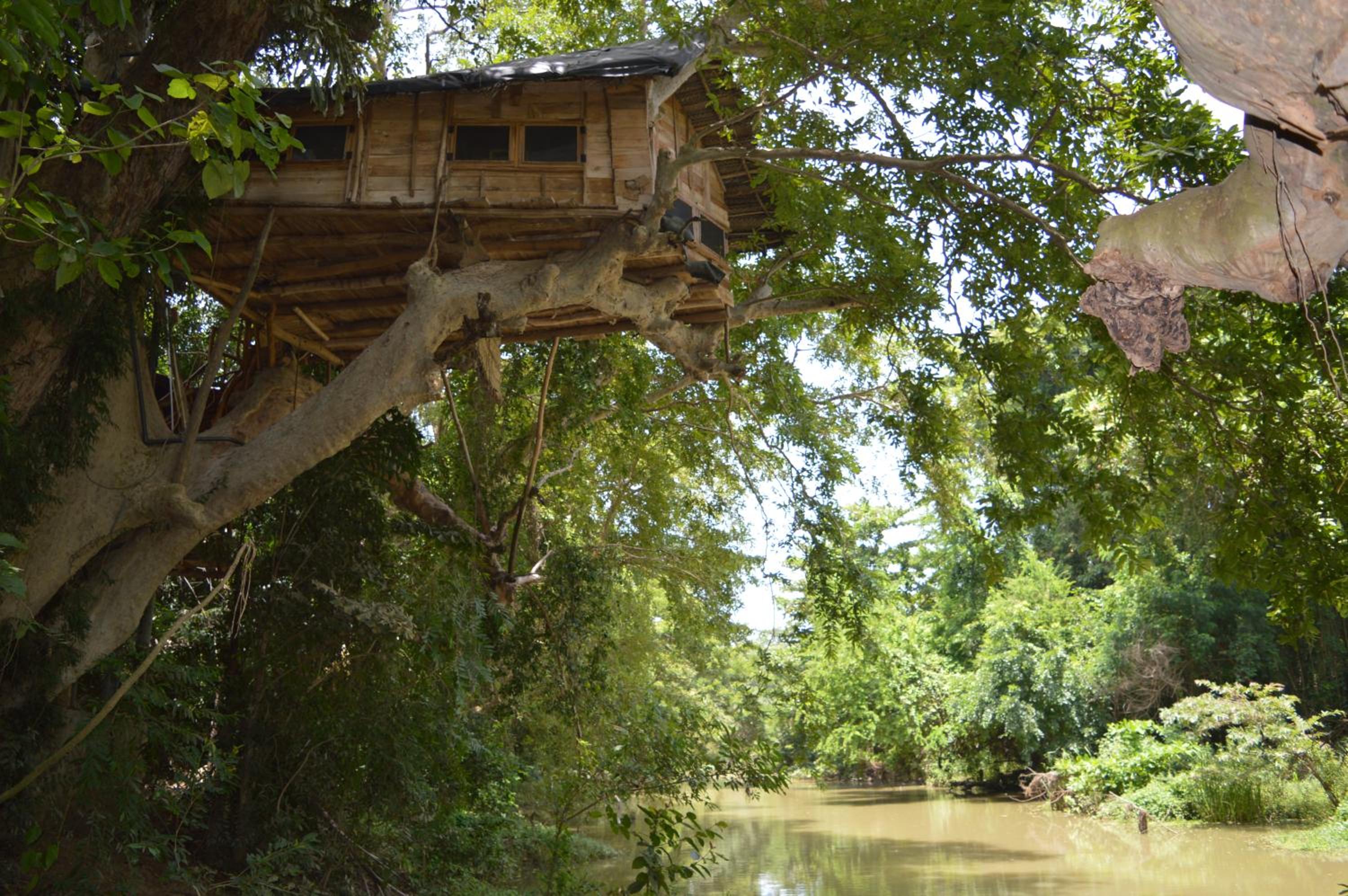 Kumbuk Tree House Yala Safari Place view 5