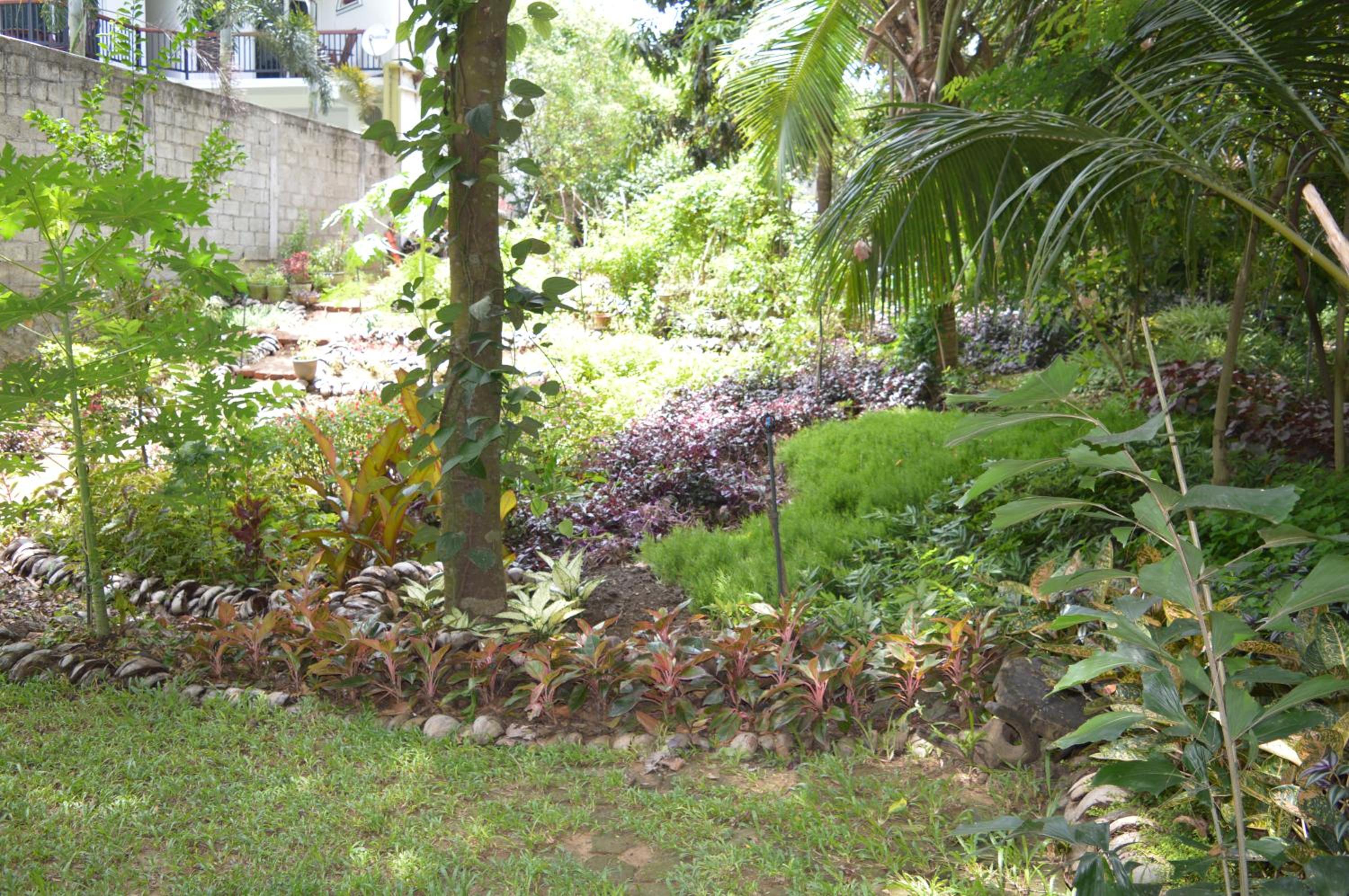 Photo 44