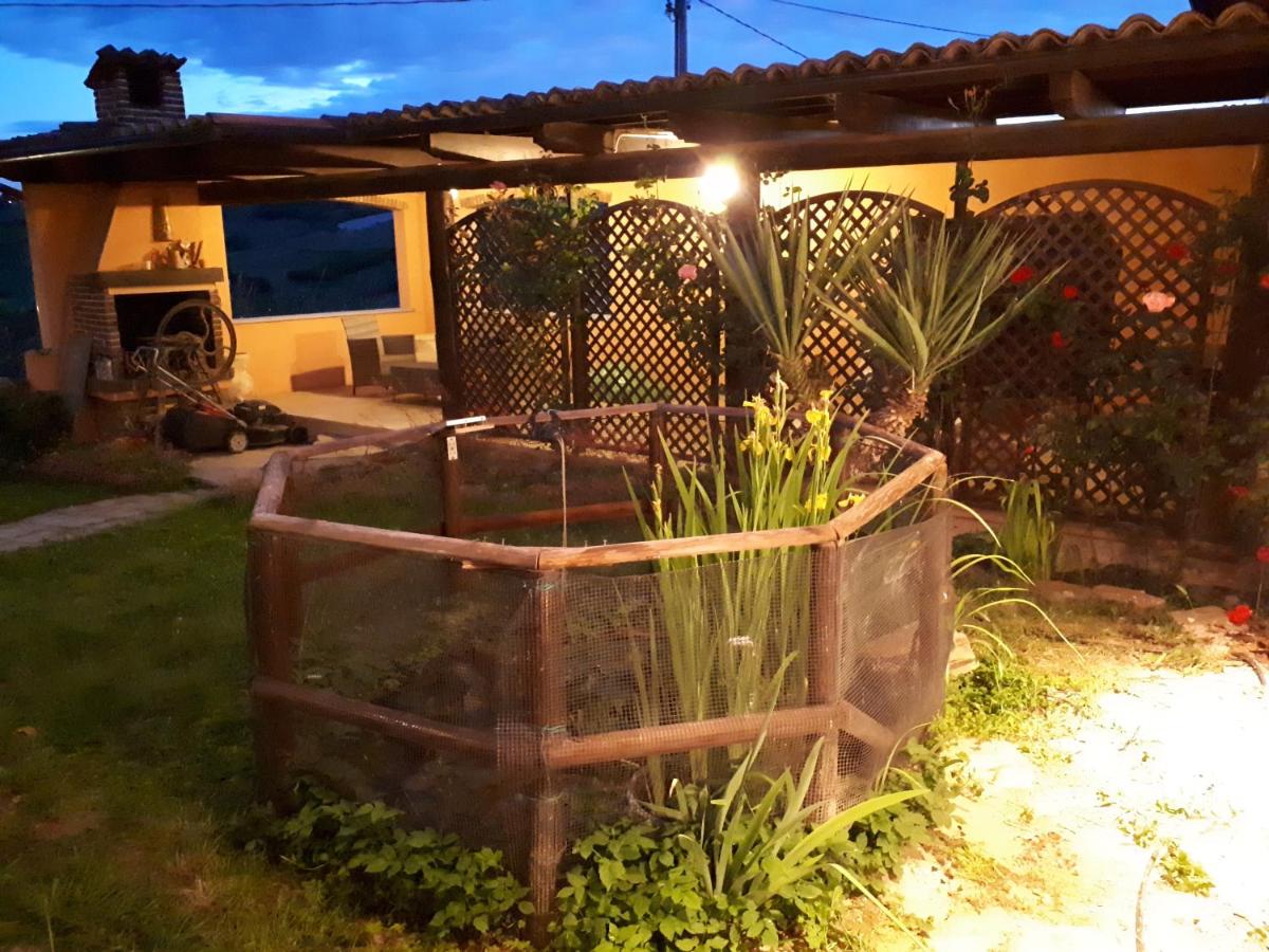 Photo 28