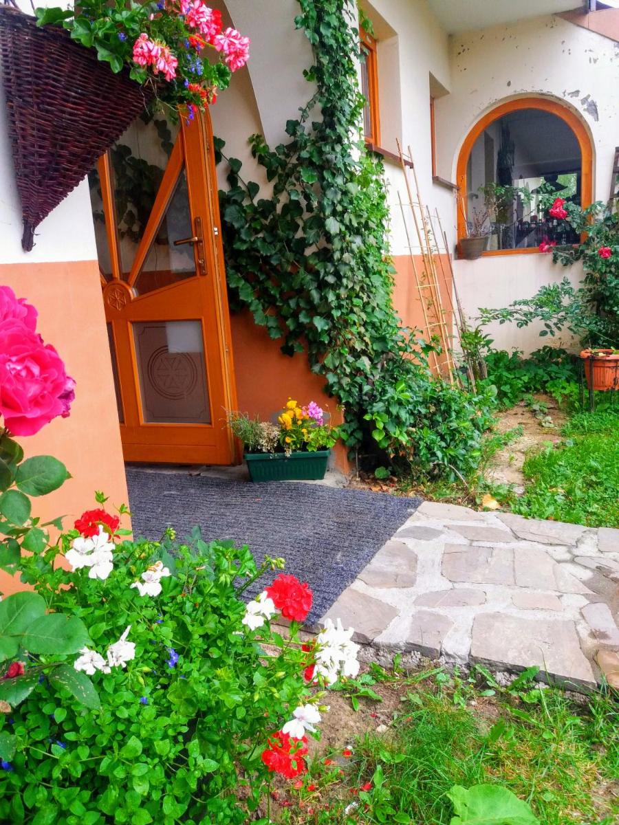 Photo 37