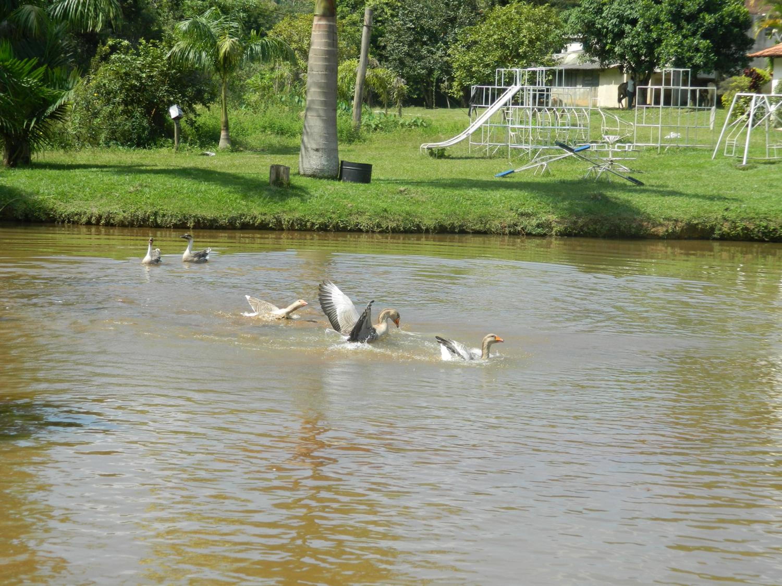Fazenda Hotel Alvorada