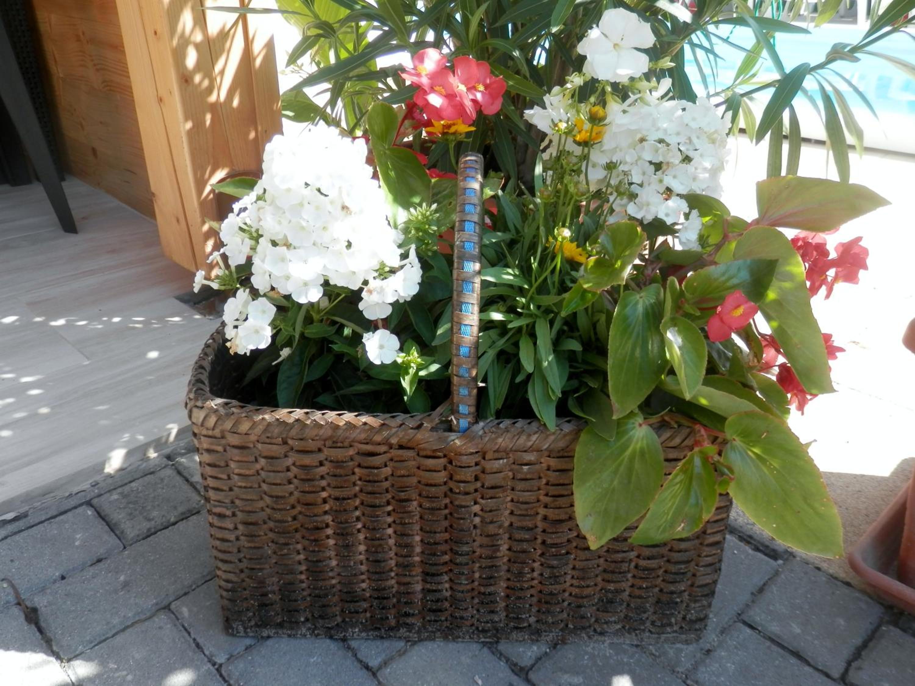Photo 37