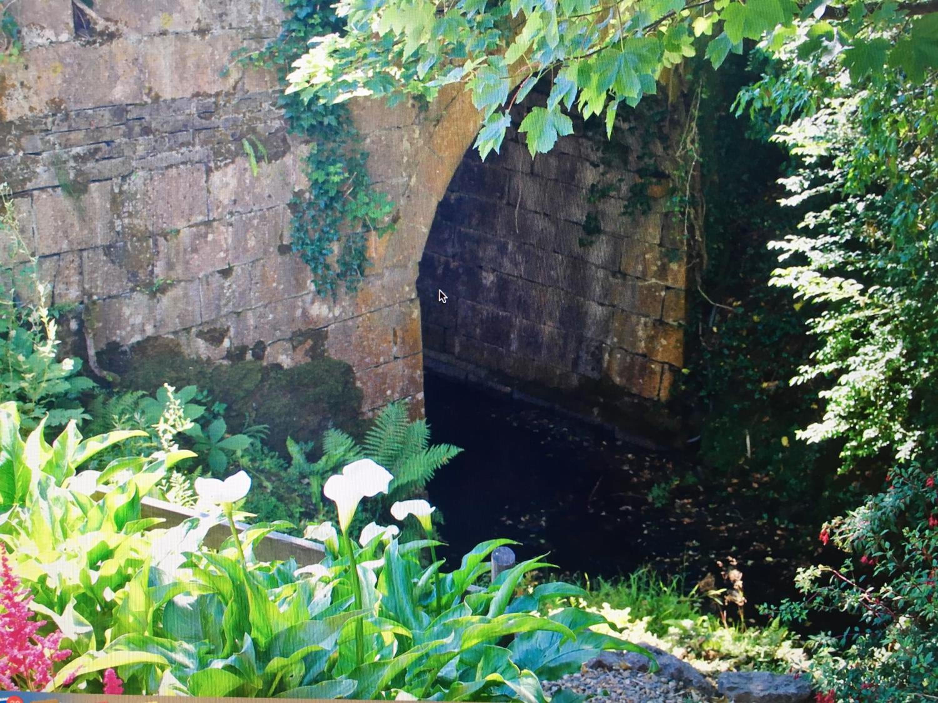 Photo 28