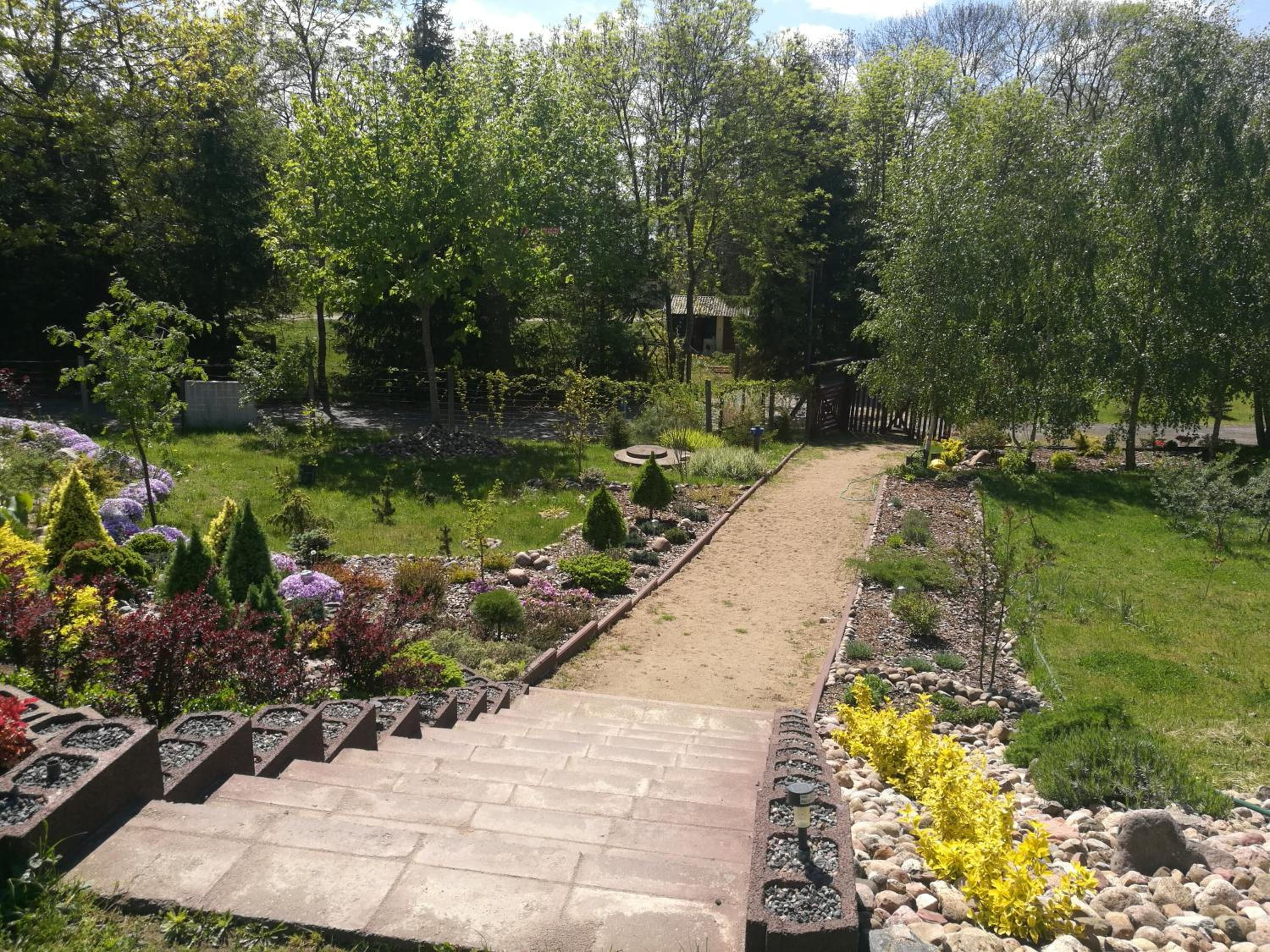 Photo 19