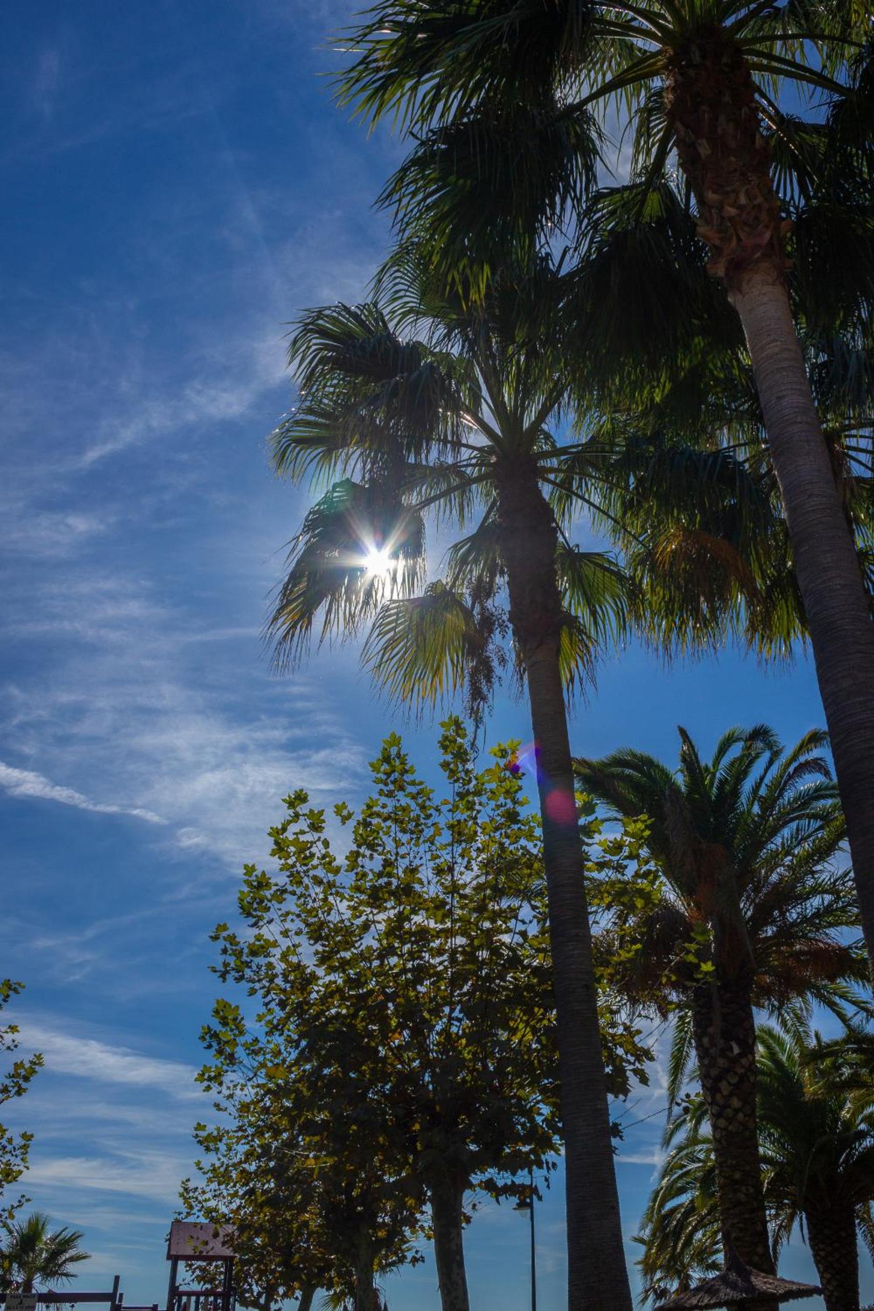 Photo 34