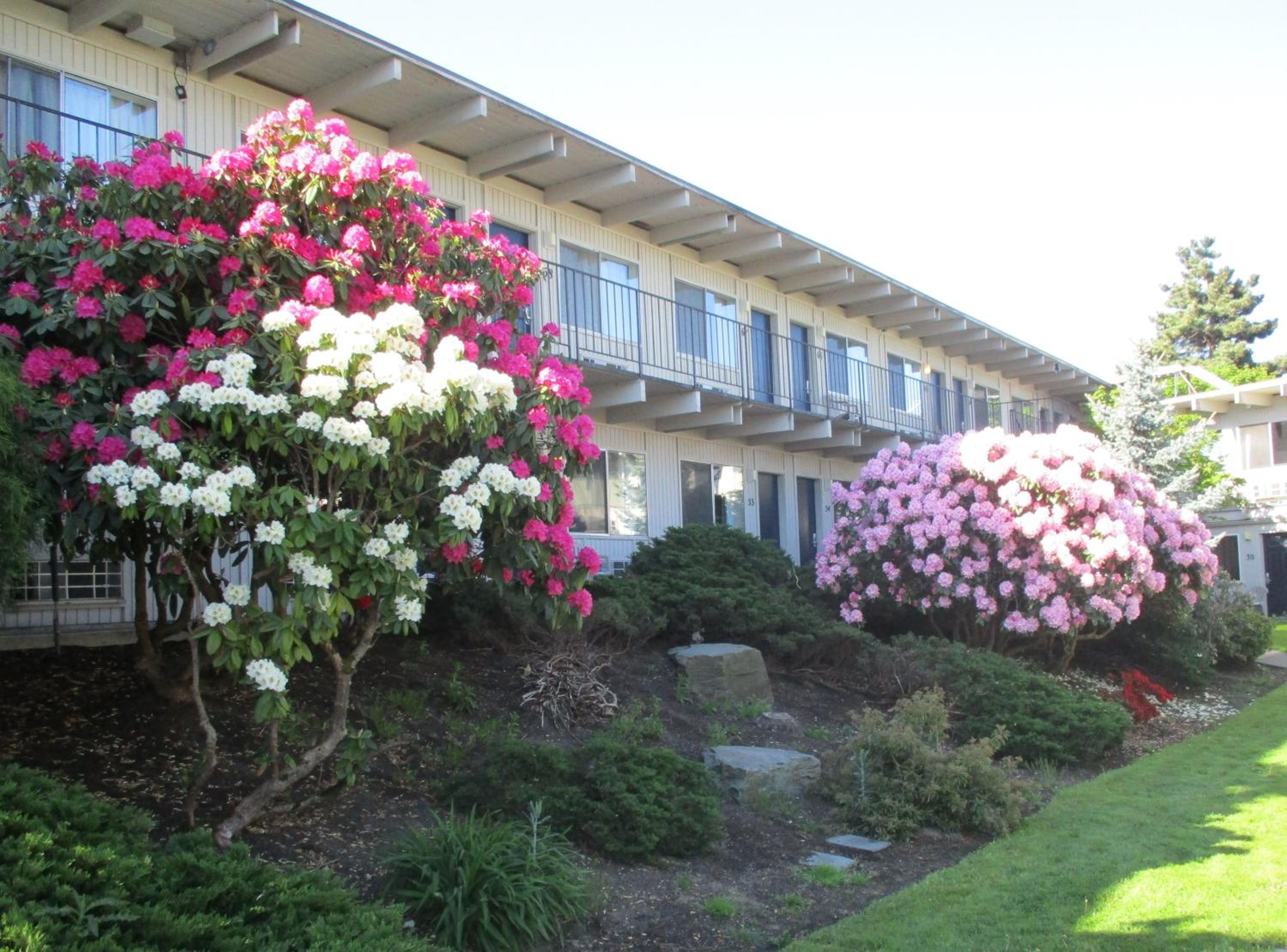 Cocusa Motel