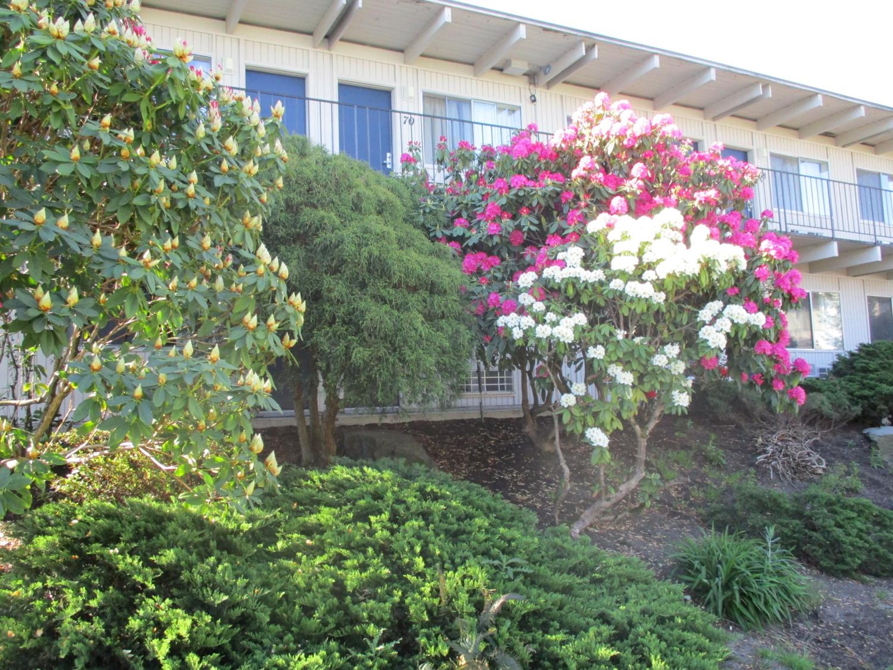 Cocusa Motel