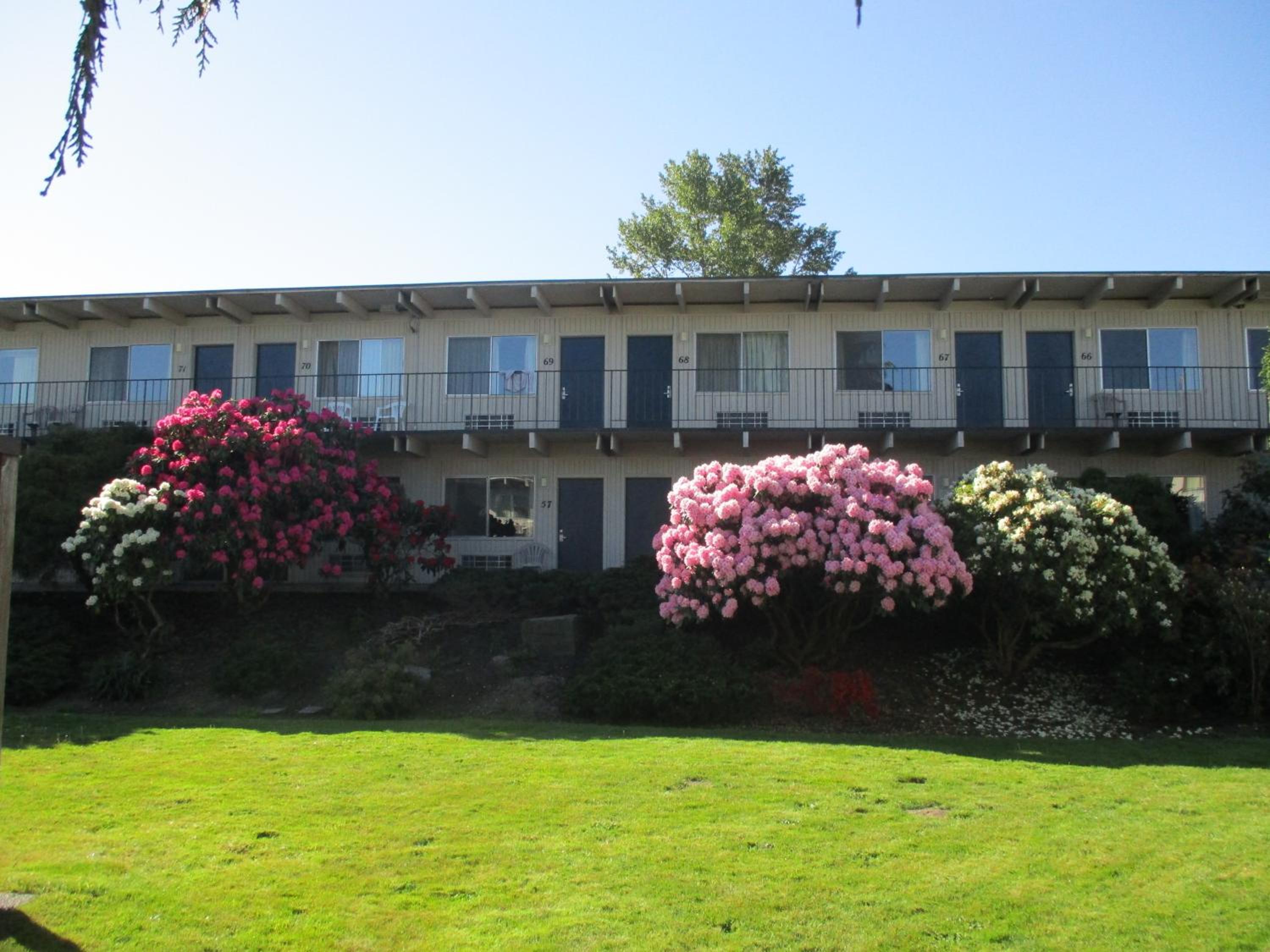 Cocusa Motel