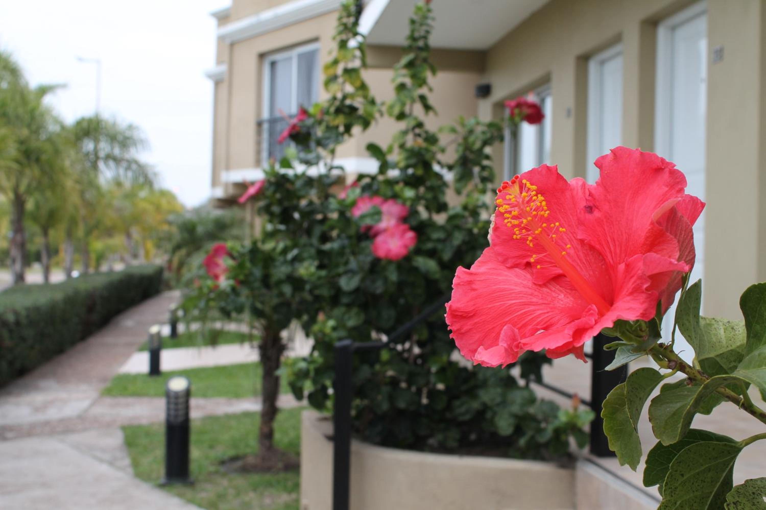 Brisas del Lago Apart y Hotel, photo 34