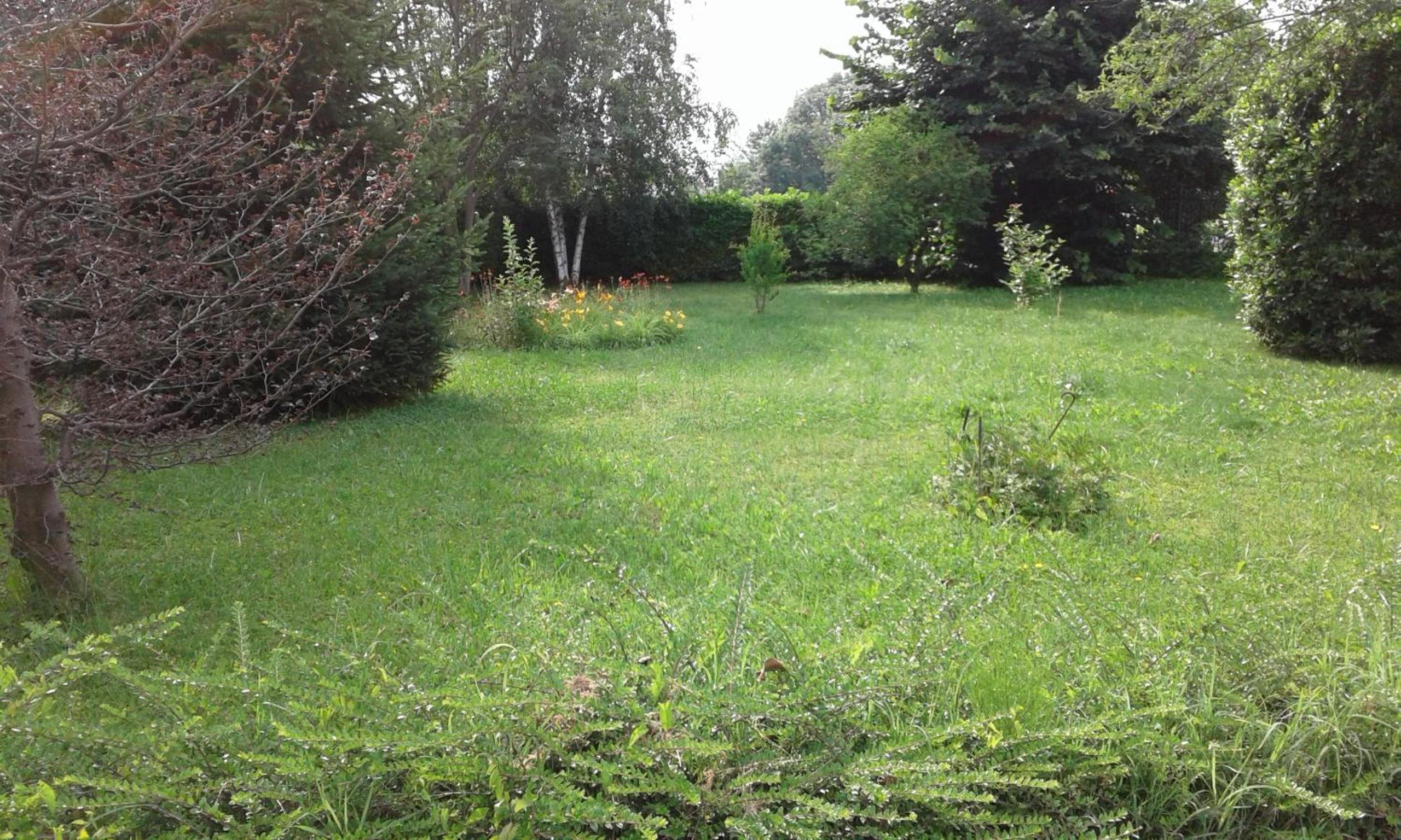 CHIARA photo 5