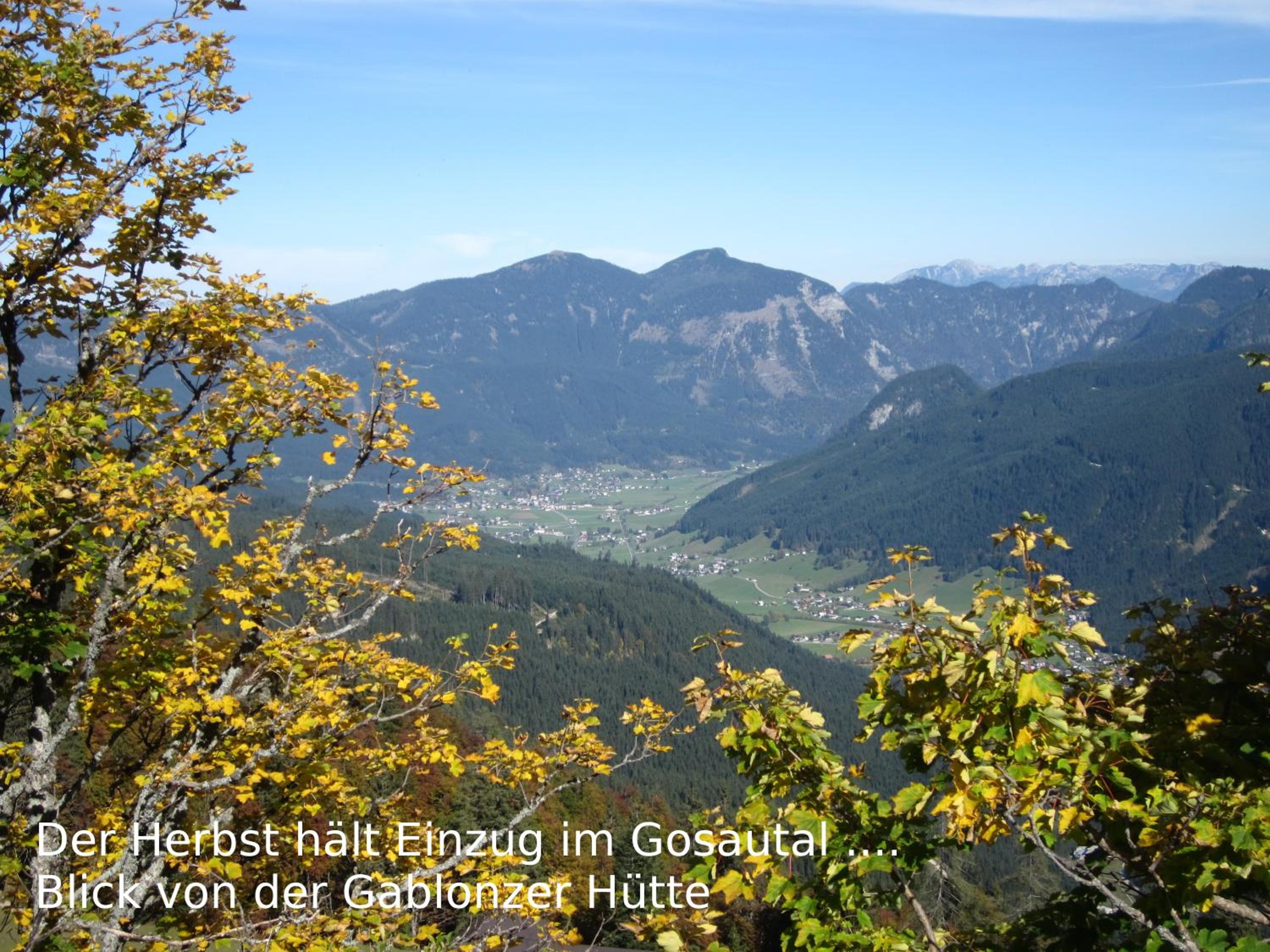 Photo 30