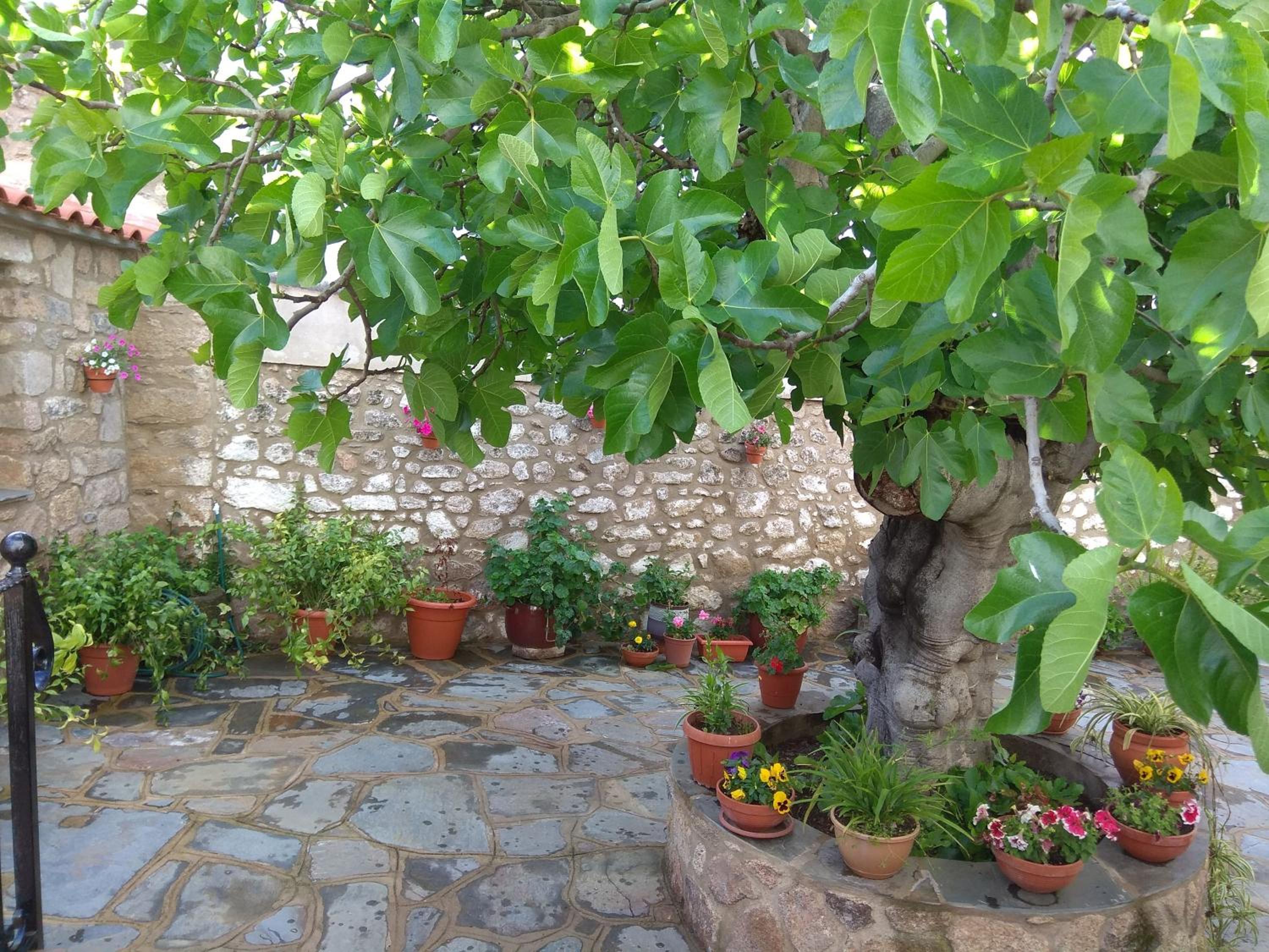 Photo 29