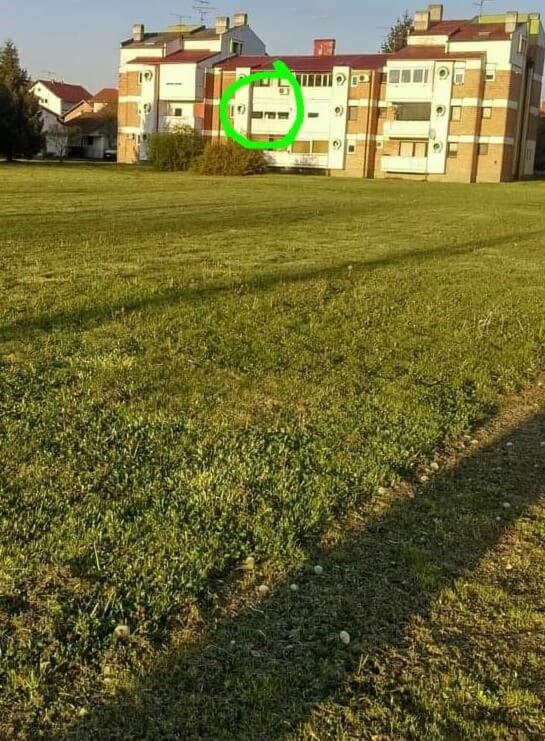 Studio Apartman Ždral