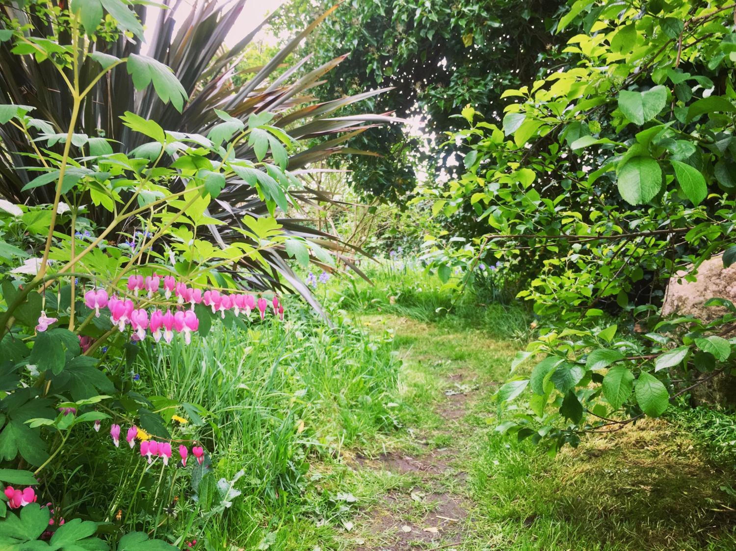 Romantic Quirky Cottage with private garden and parking