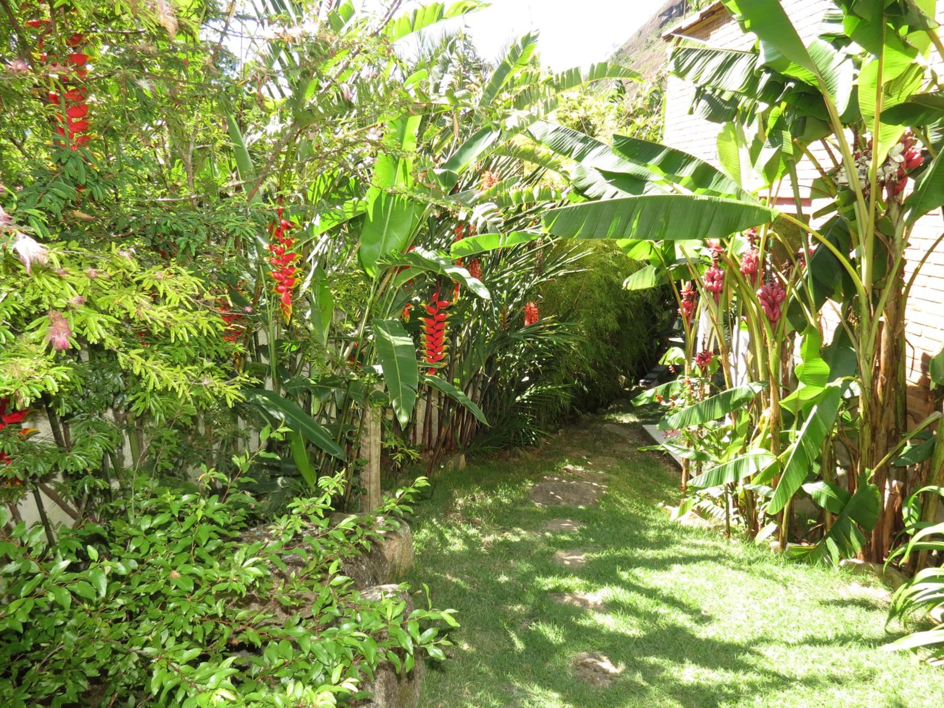 Photo 25