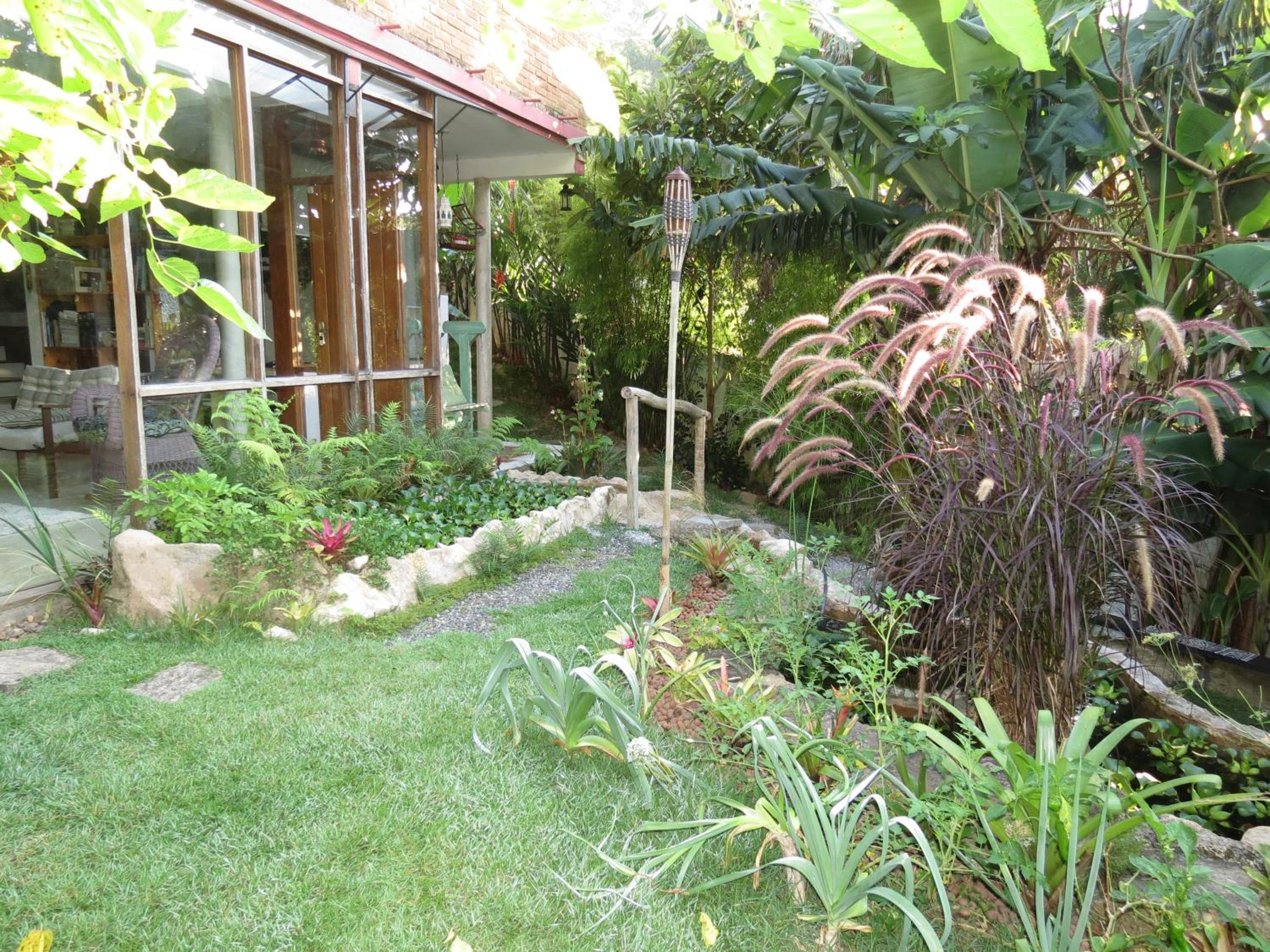 Photo 11