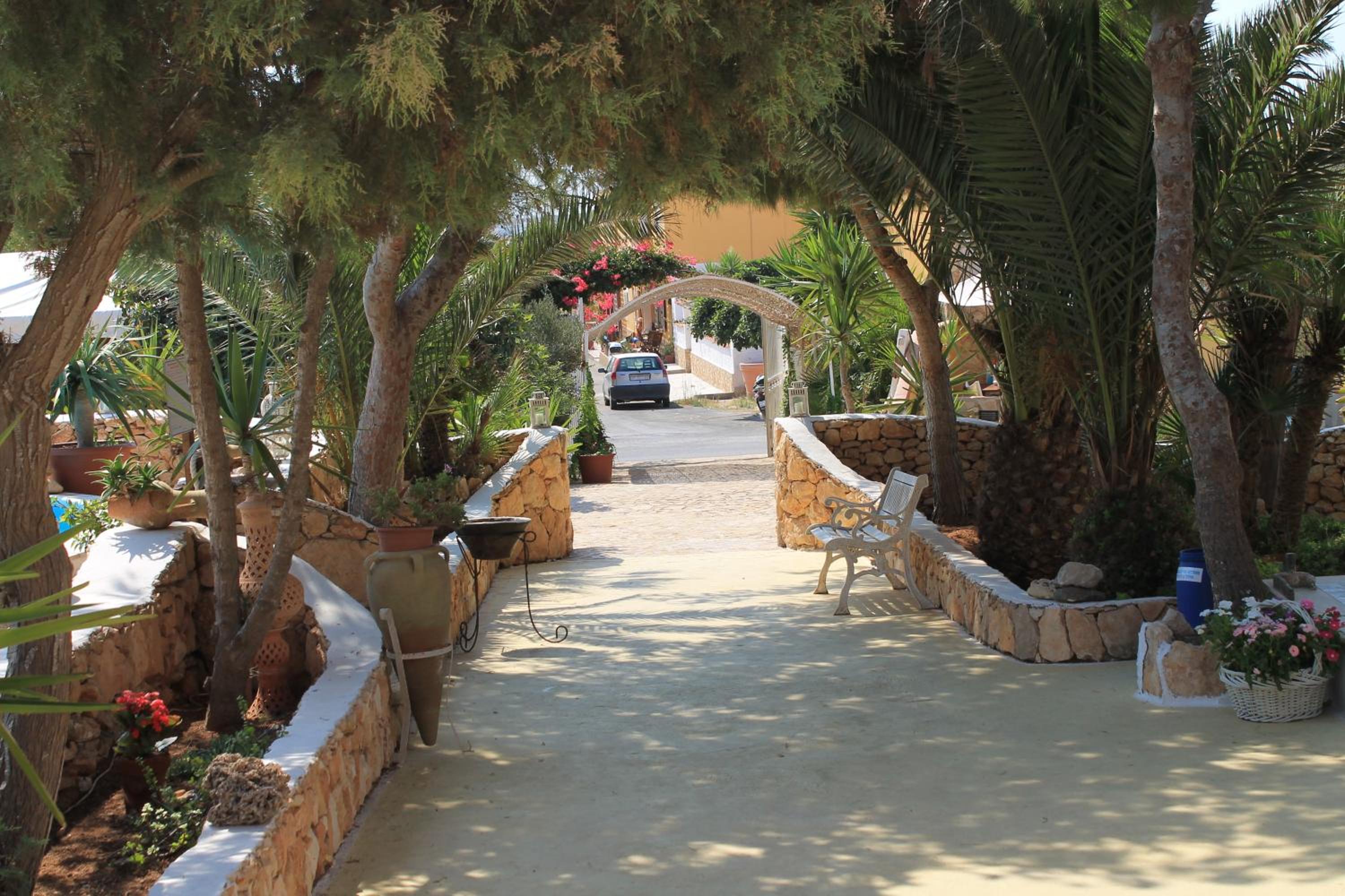 Photo 6