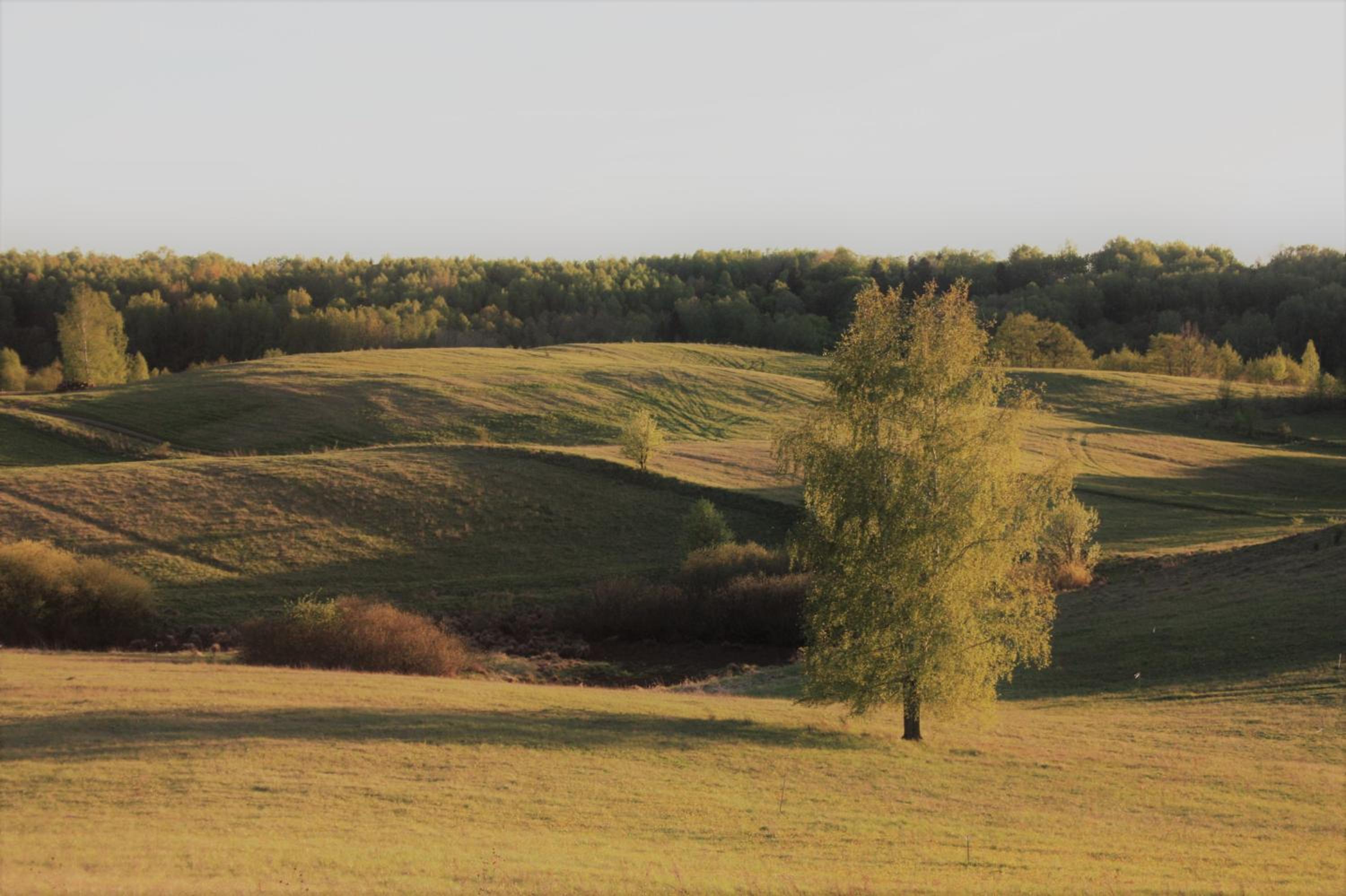 Photo 49