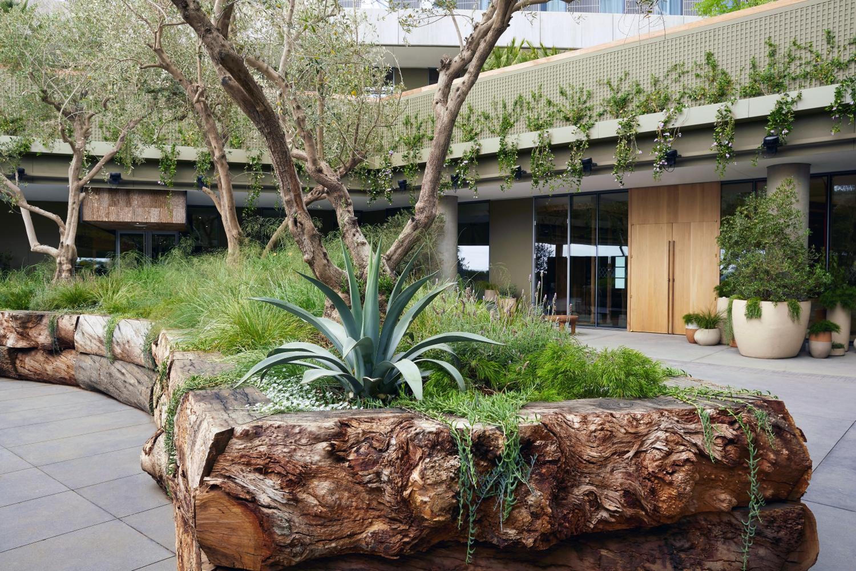 1 Hotel West Hollywood 6