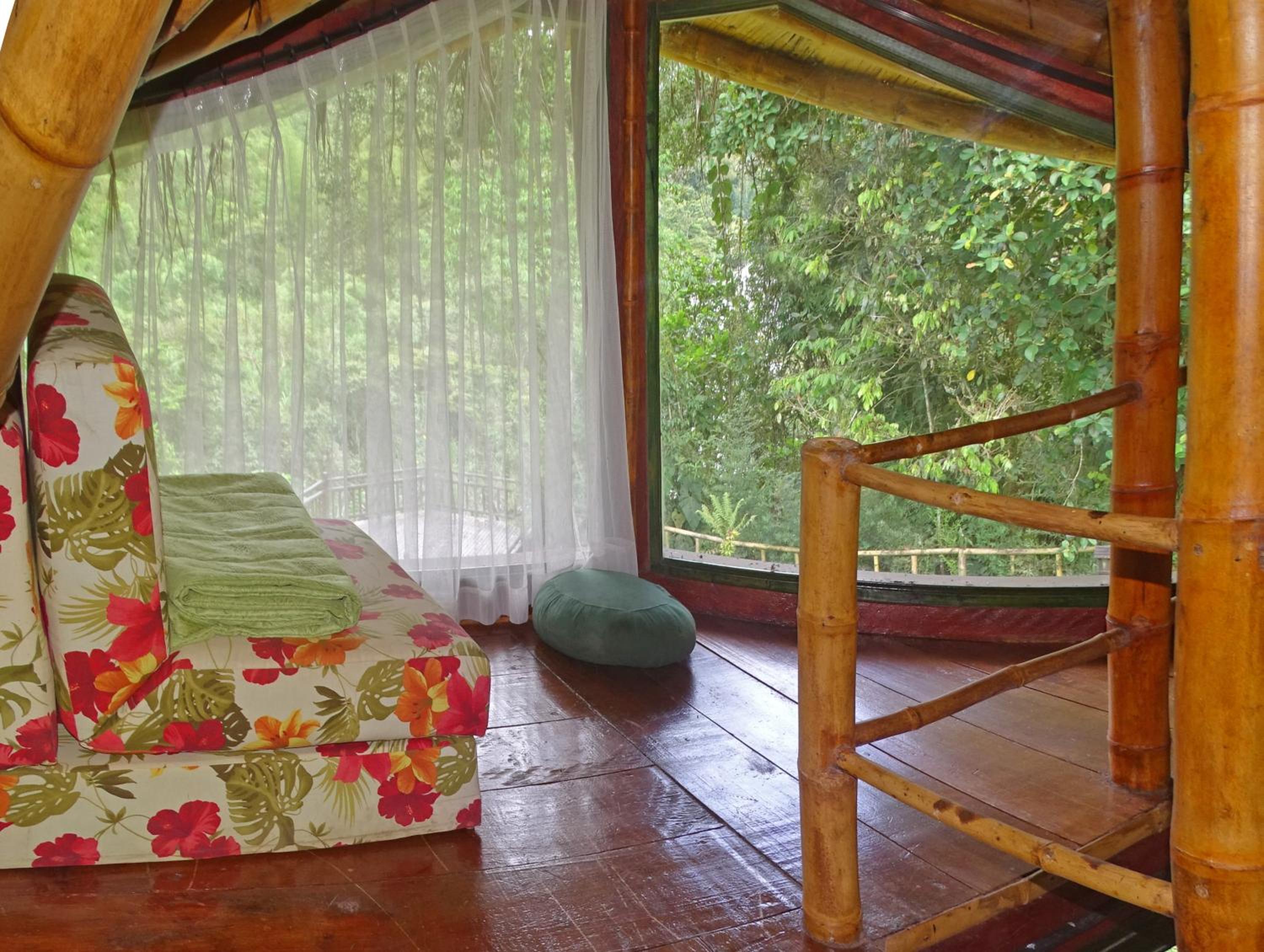 Sacha Urco Lodge -Private Cloud Forest Reserve in Mindo- 4x4 recommended March-April