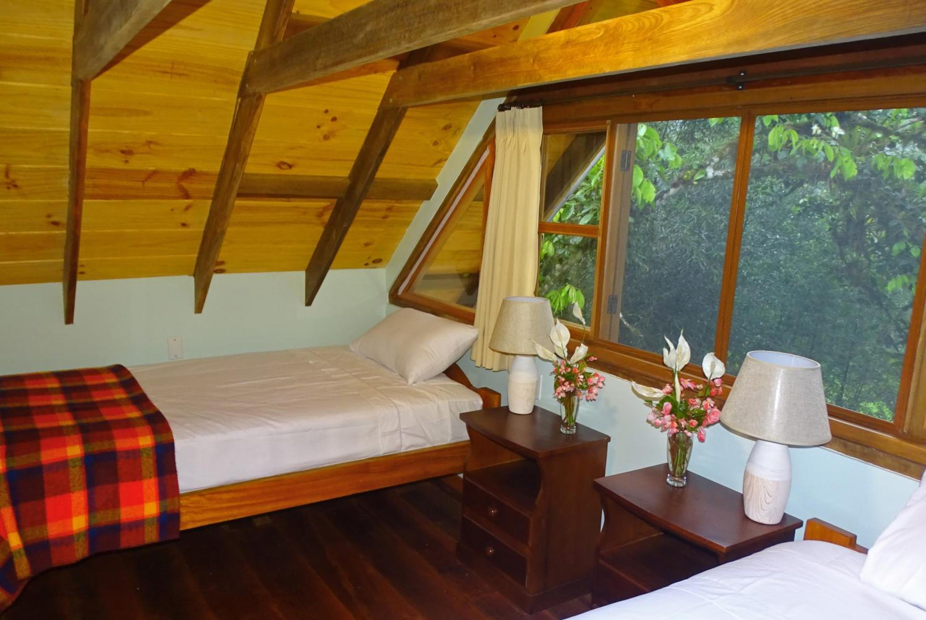 Sacha Urco Lodge -Private Cloud Forest Reserve in Mindo- 4x4 recommended March-April