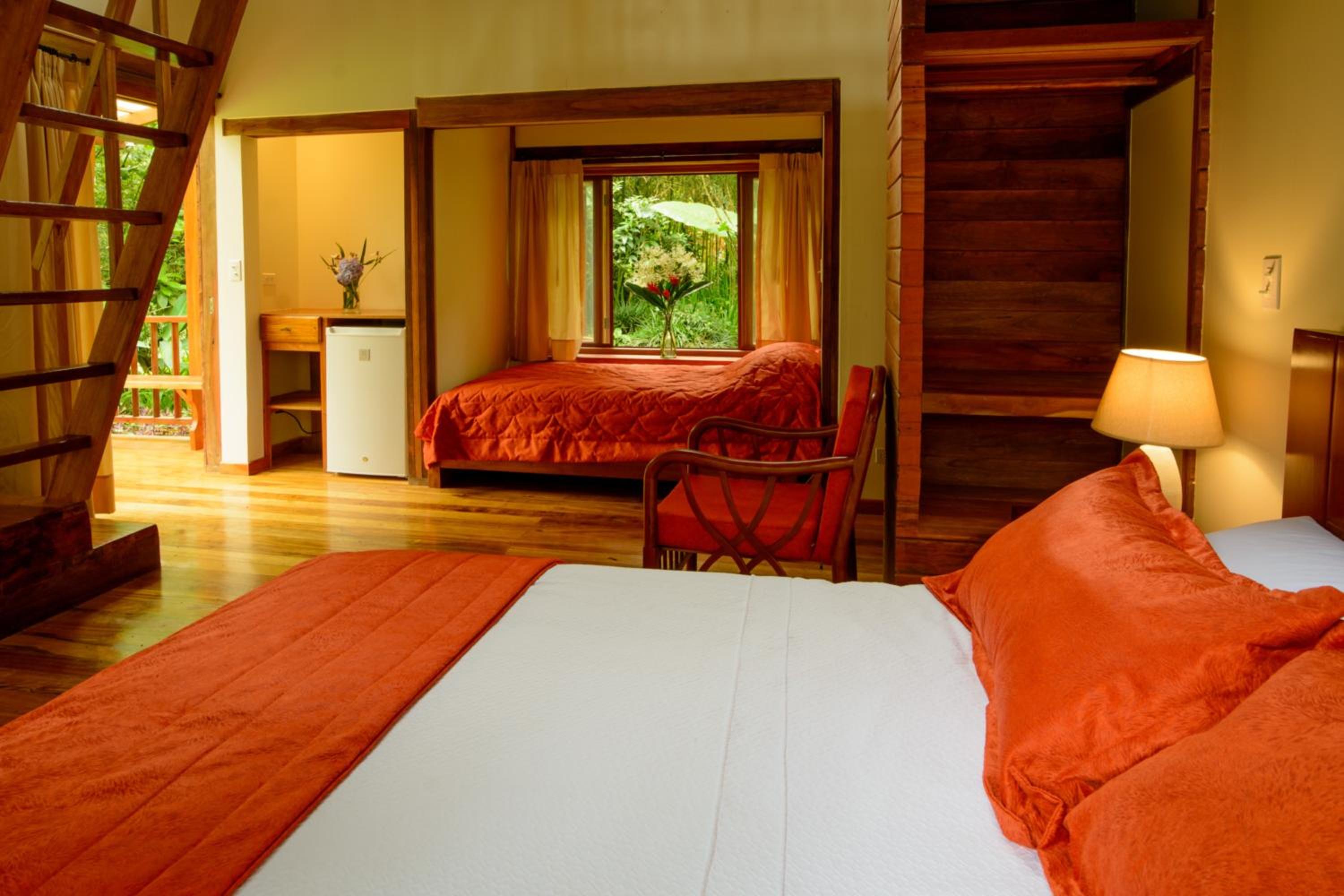 Sacha Urco Lodge -Private Cloud Forest Reserve in Mindo- 4x4 recommended March-April