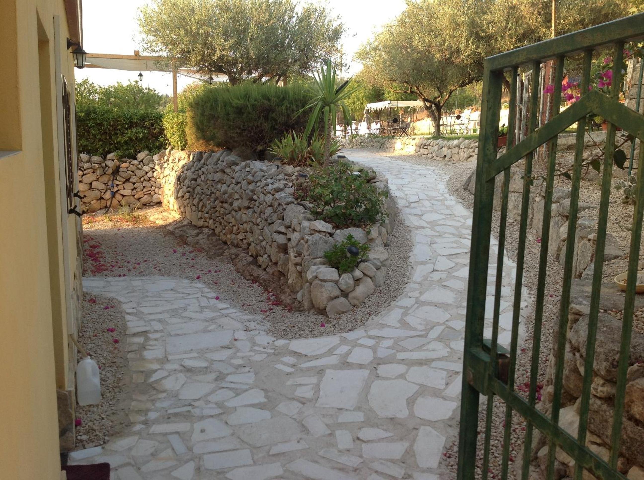 Photo 7
