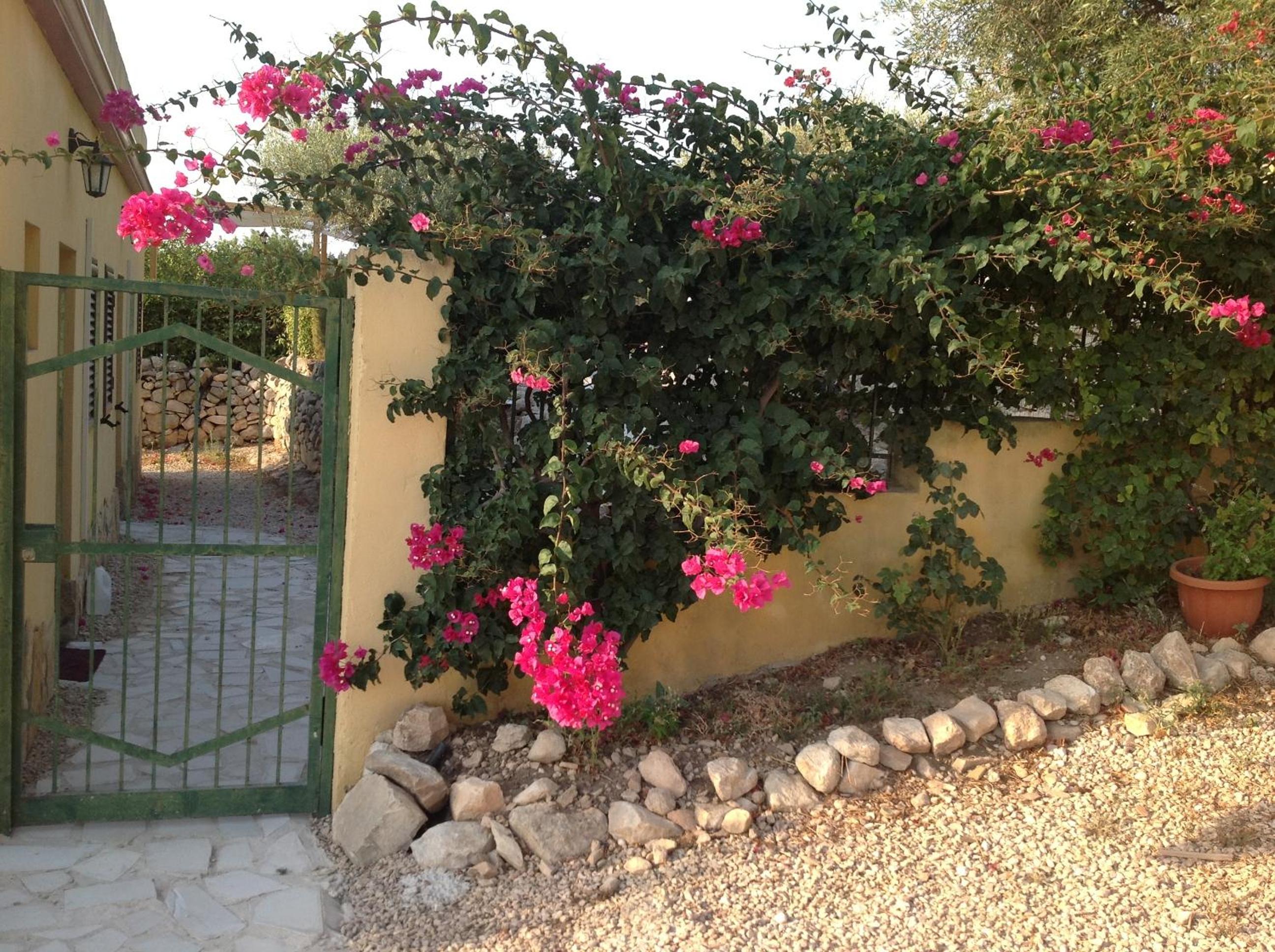 Photo 26