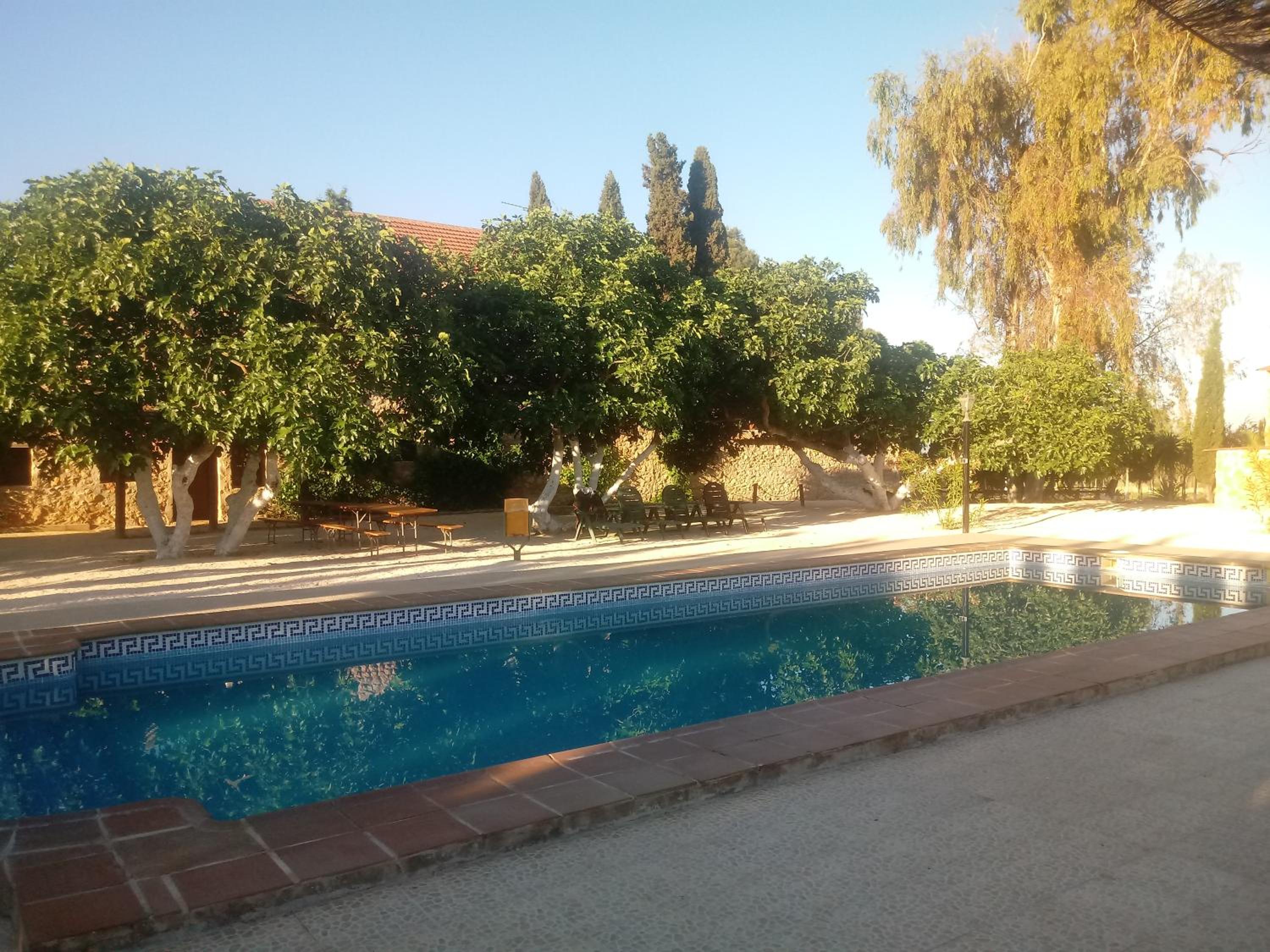 Photo 43