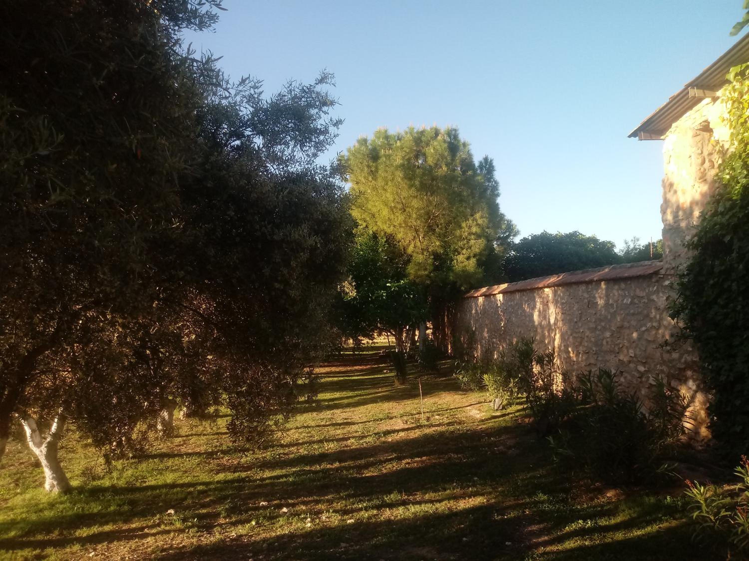 Photo 37