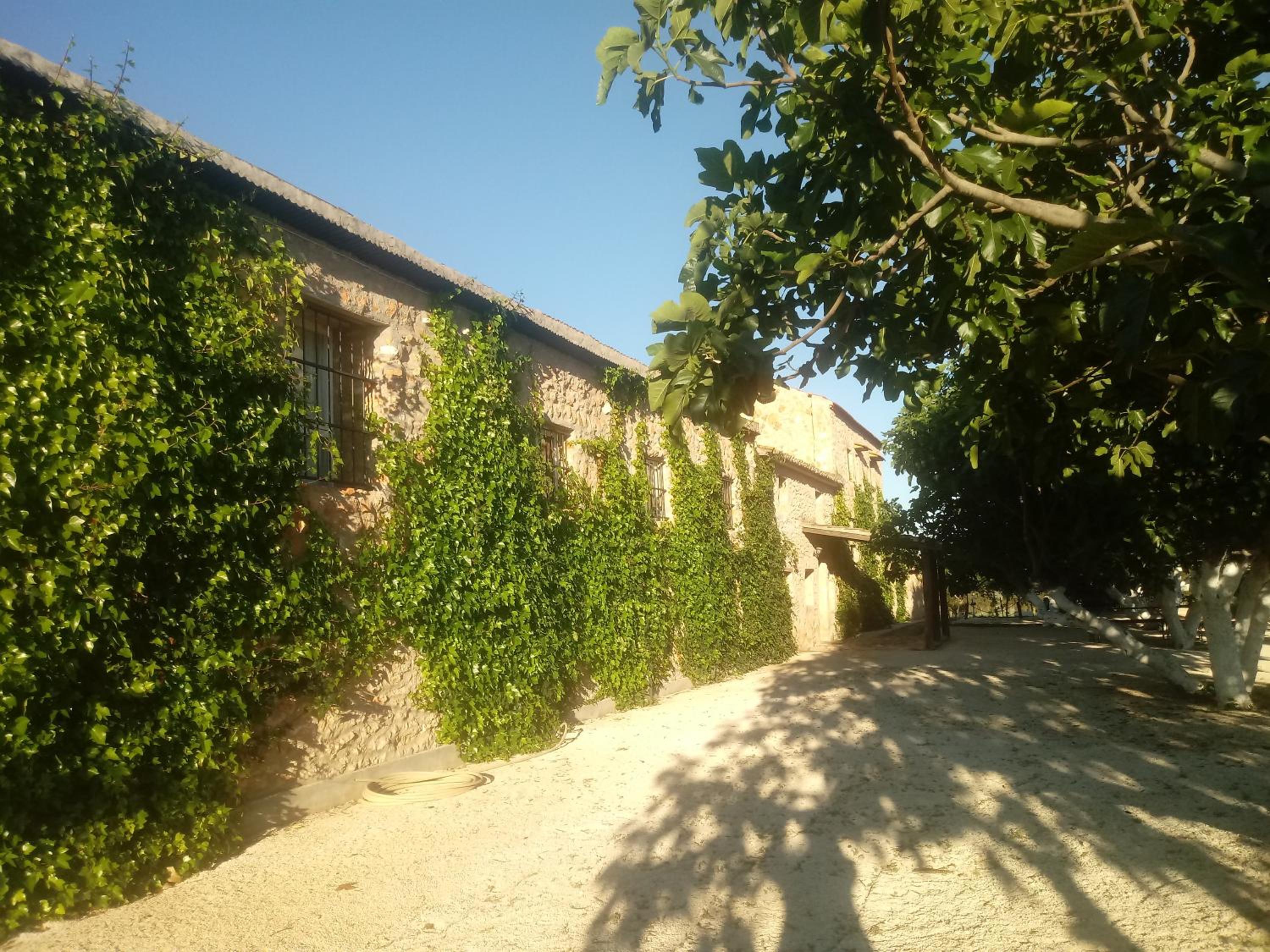 Photo 38