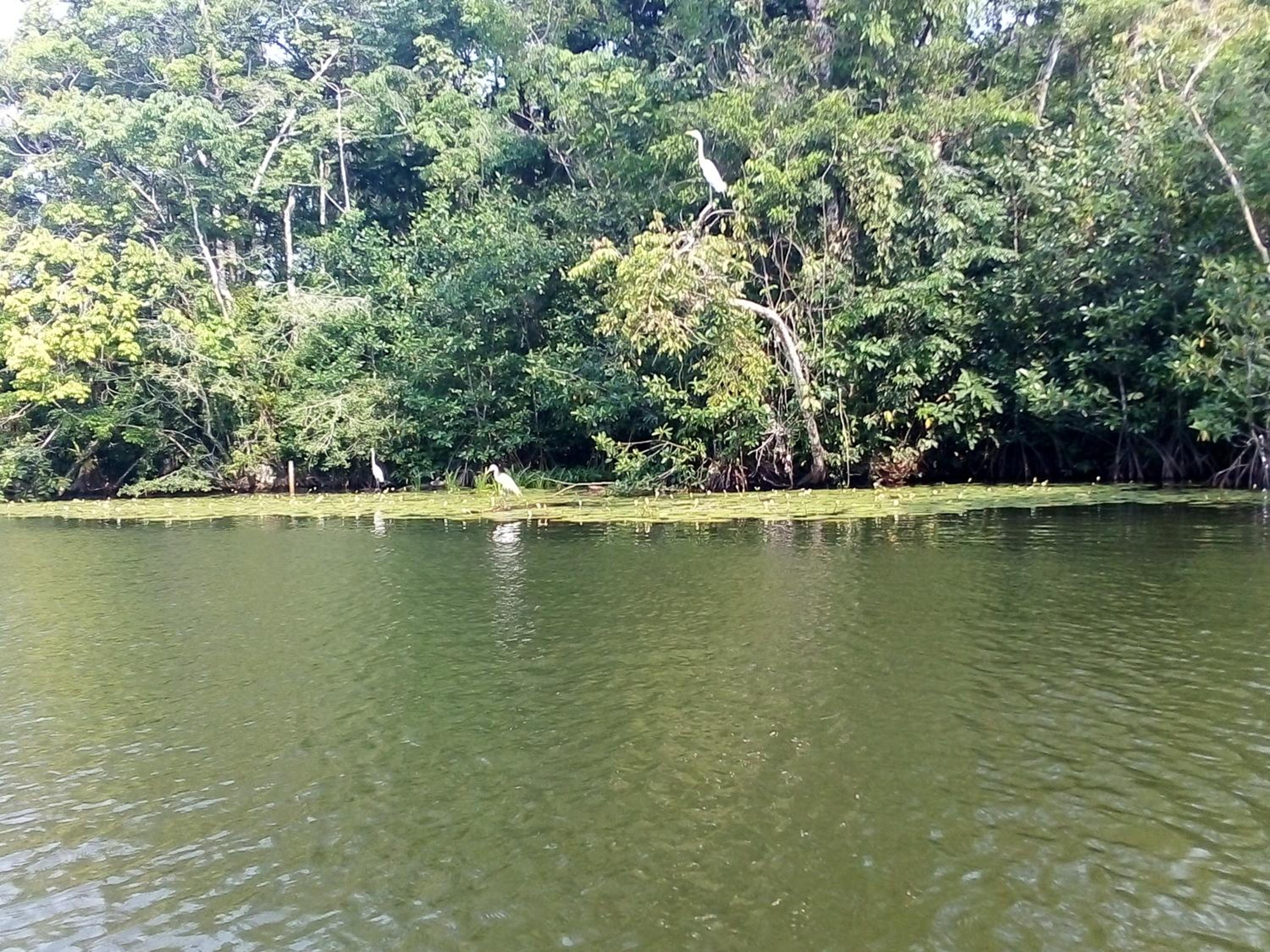 Photo 18