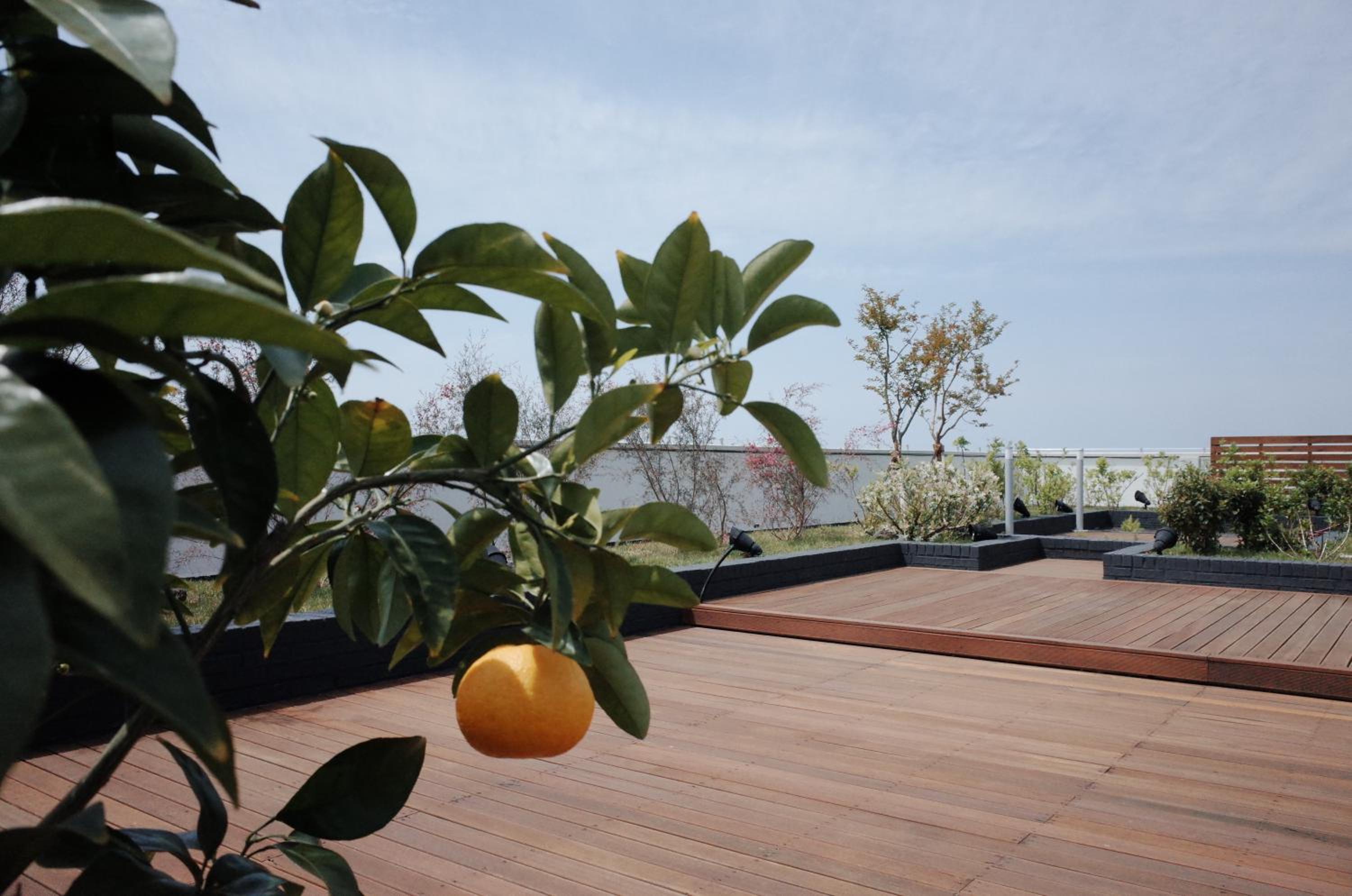 Jeju Vacations - Hi Residences - Property Image 8
