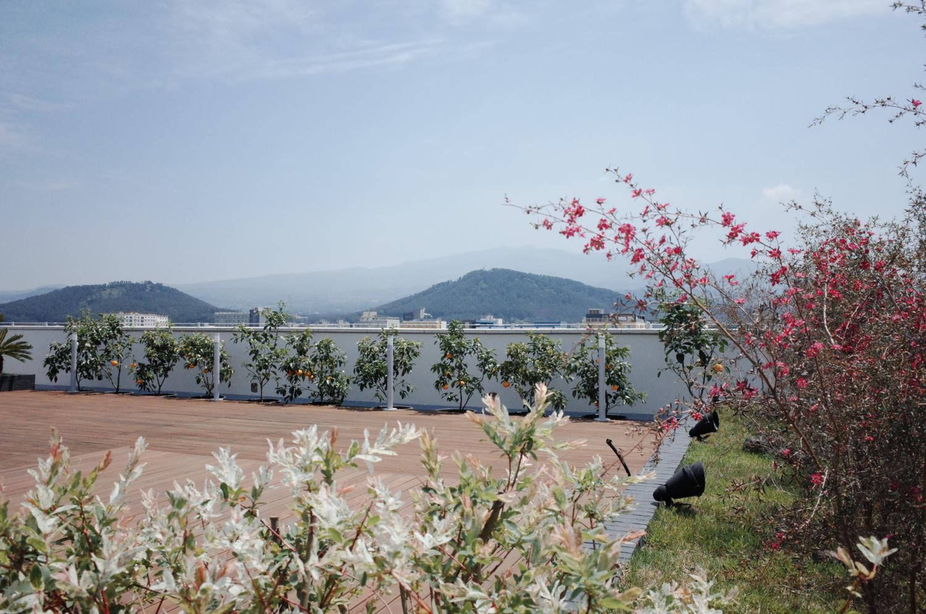 Jeju Vacations - Hi Residences - Property Image 1