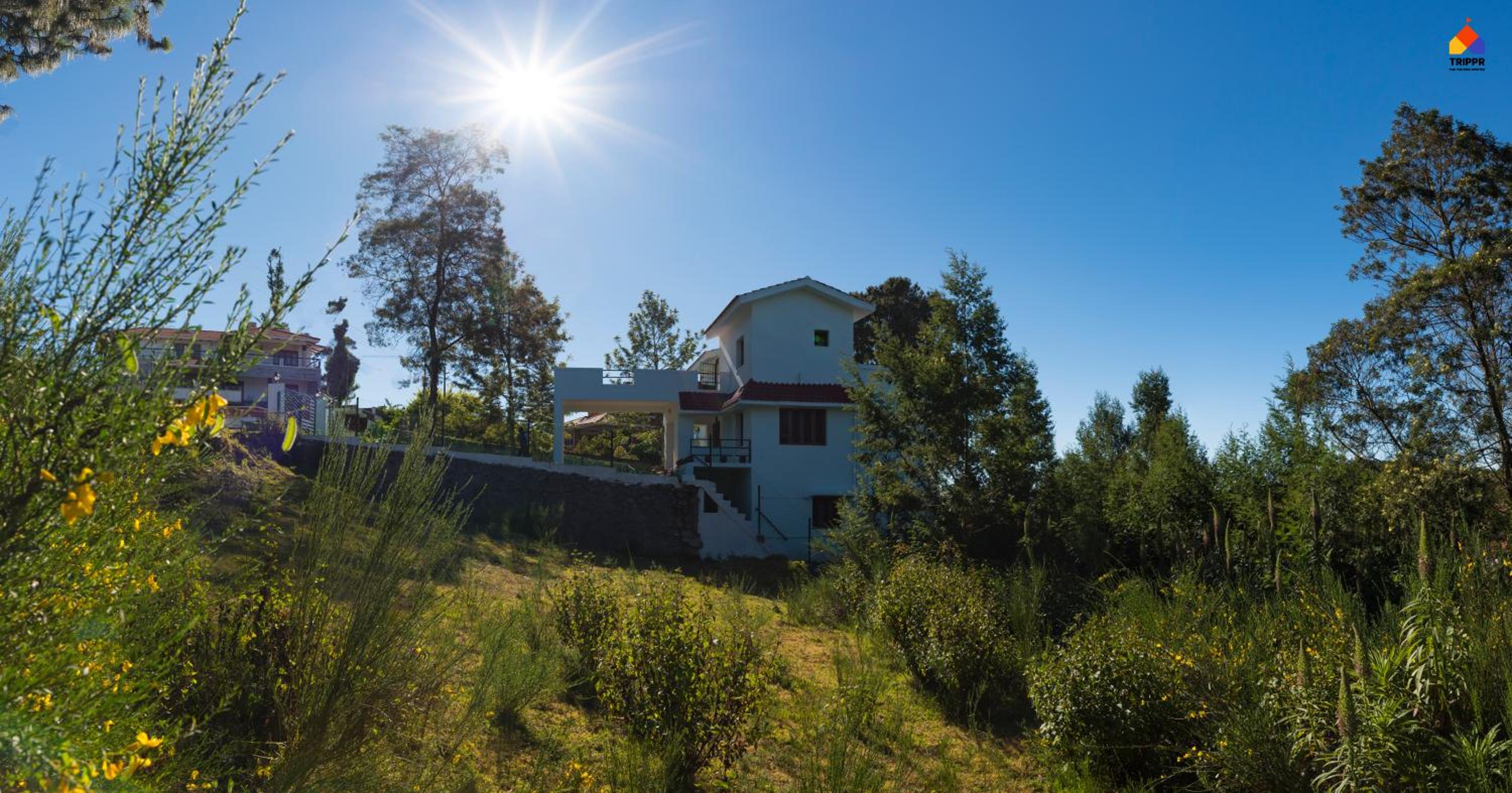 Trippr Kodaikanal Backpacker Hostel