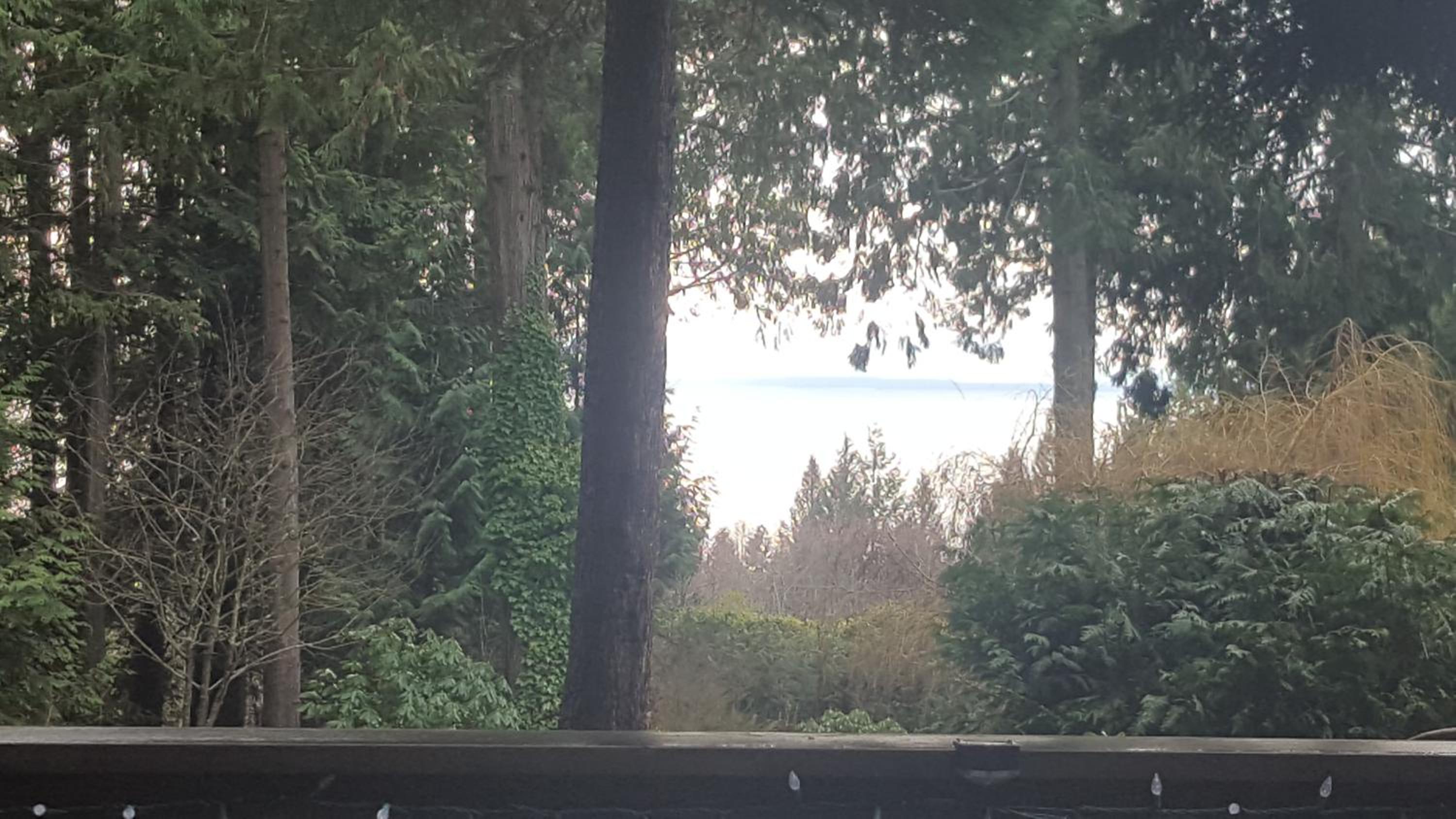 A Tiny Escape