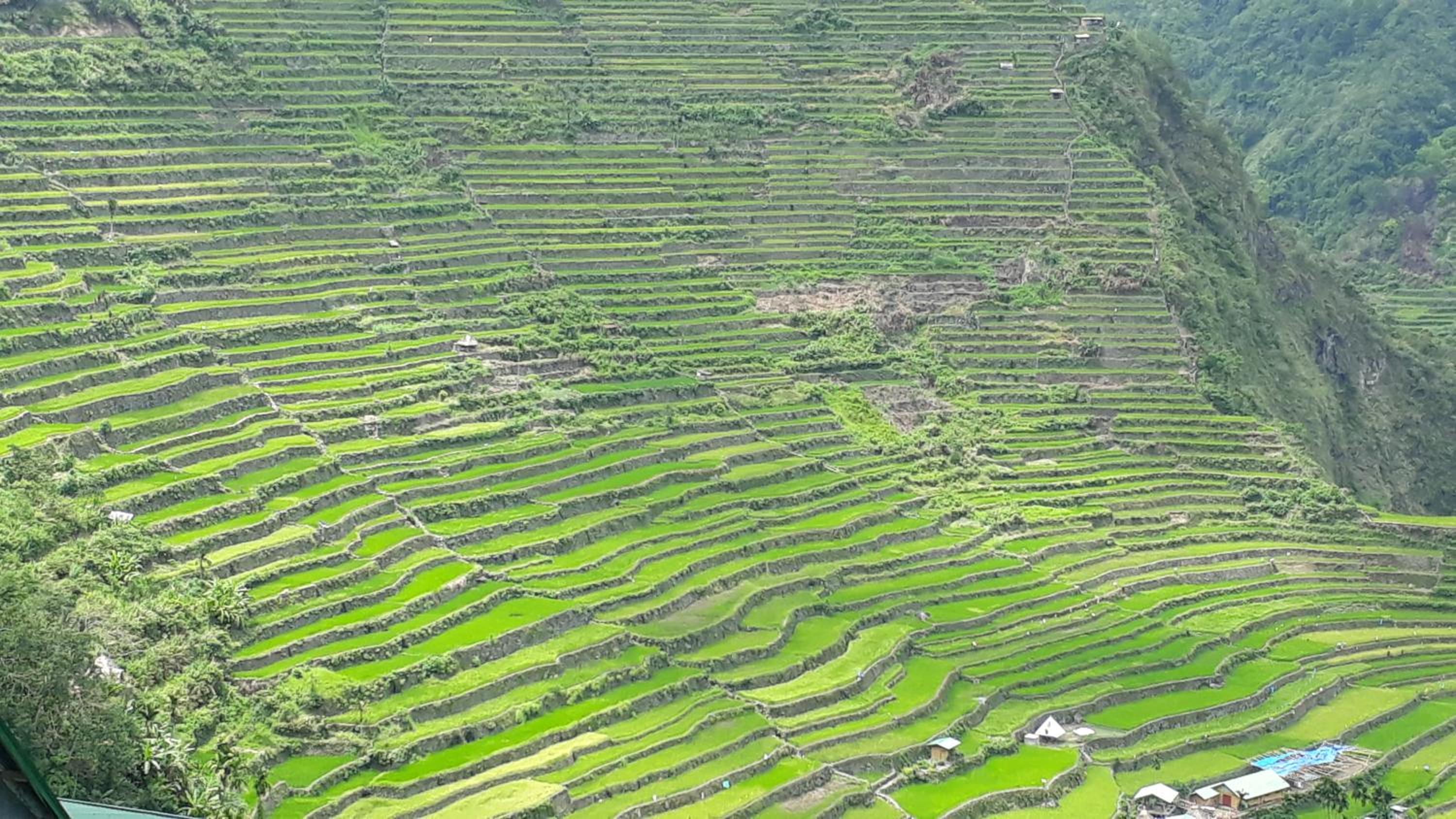Baleh Boble Guesthouse, Banaue - 14