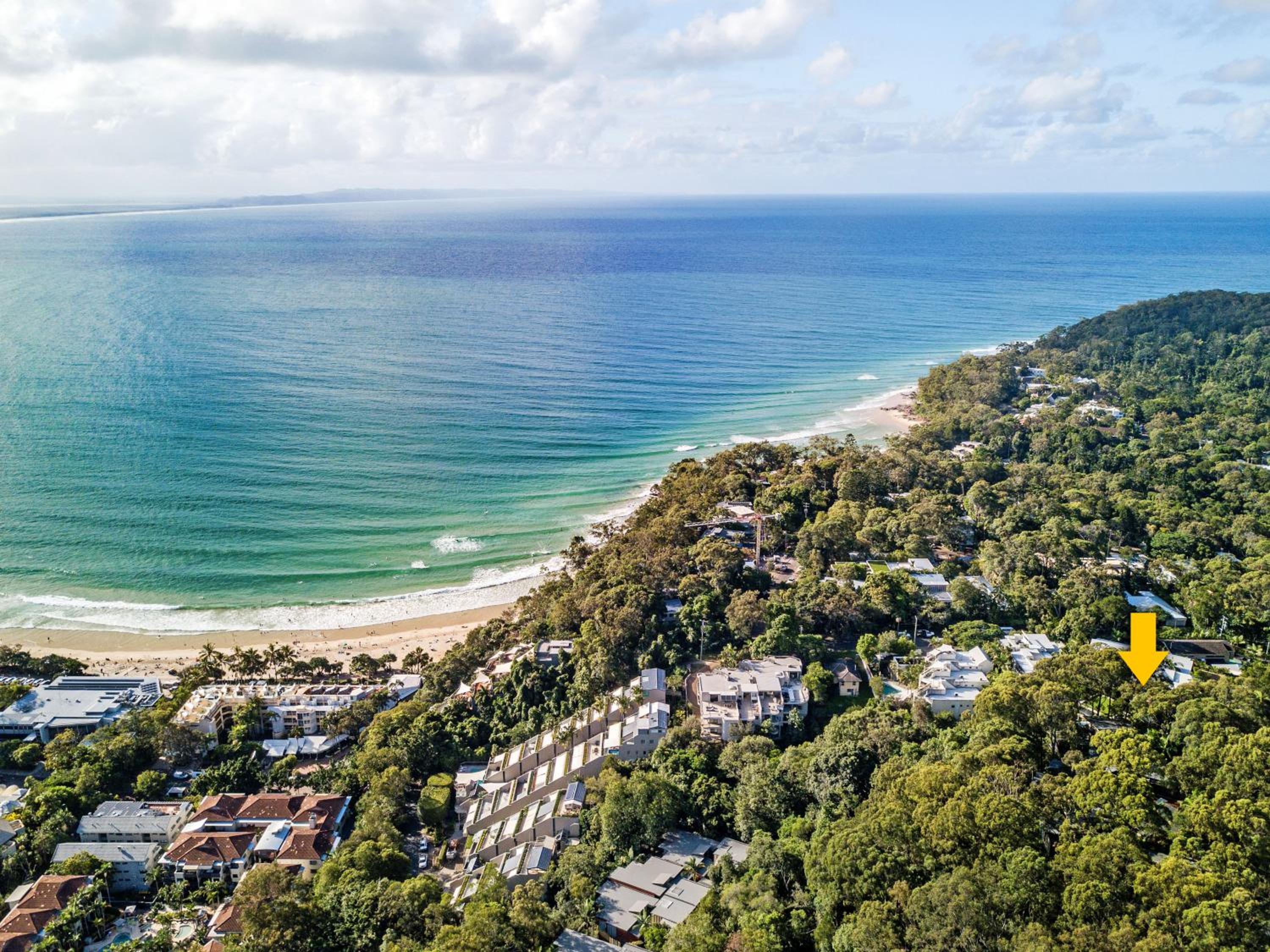 A Little Cove treasure, Noosa Heads