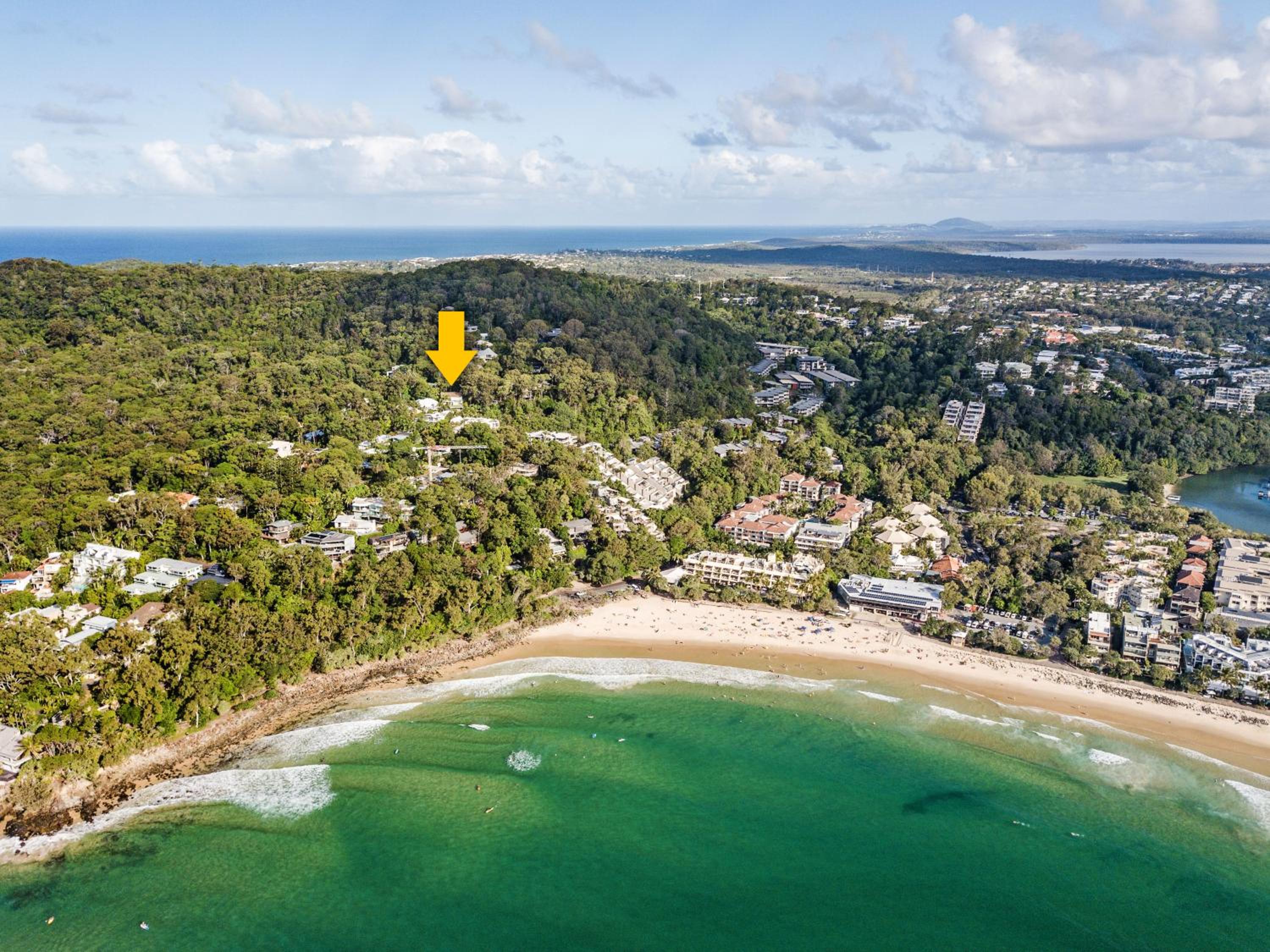 A Little Cove treasure, Noosa Heads