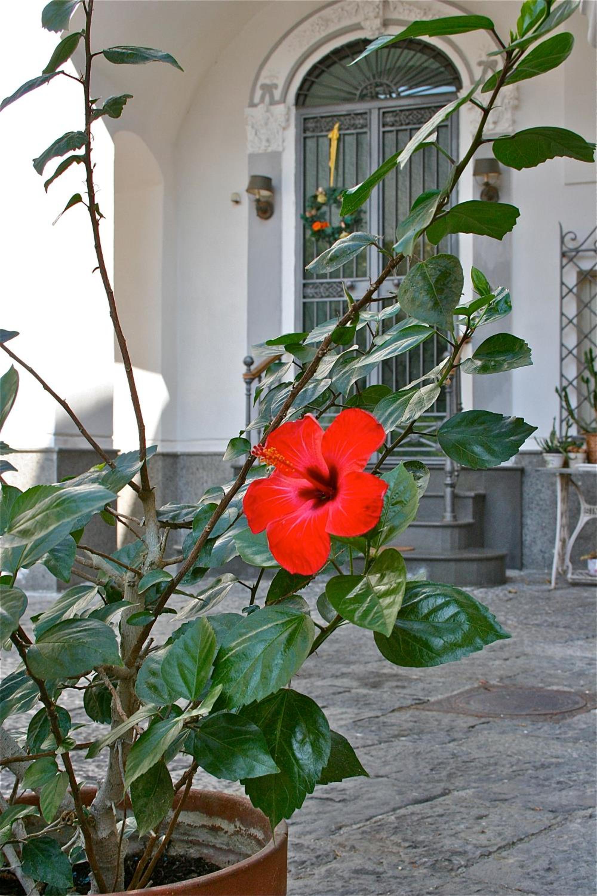 Photo 46