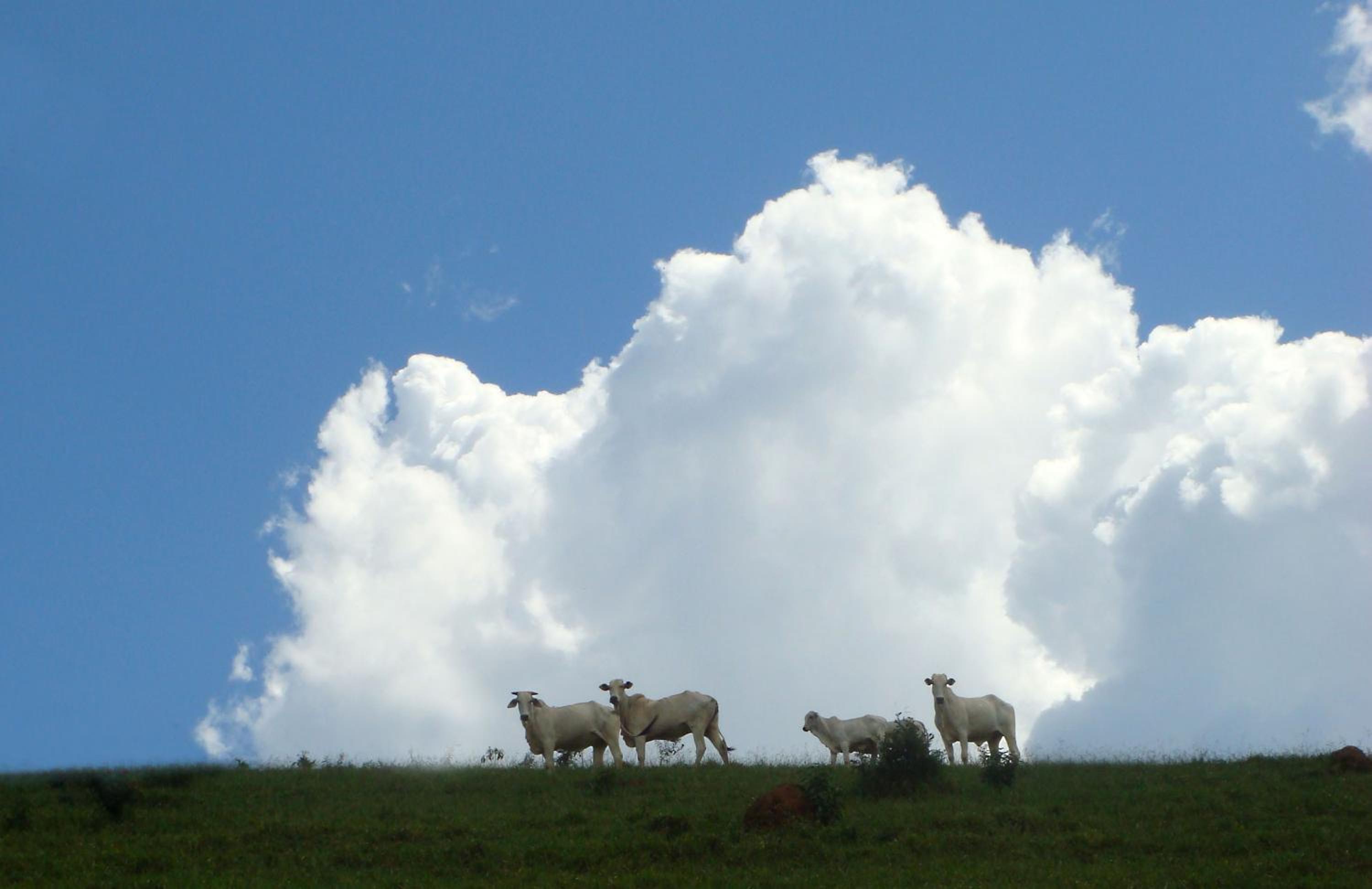 Hotel Fazenda Santa Marina