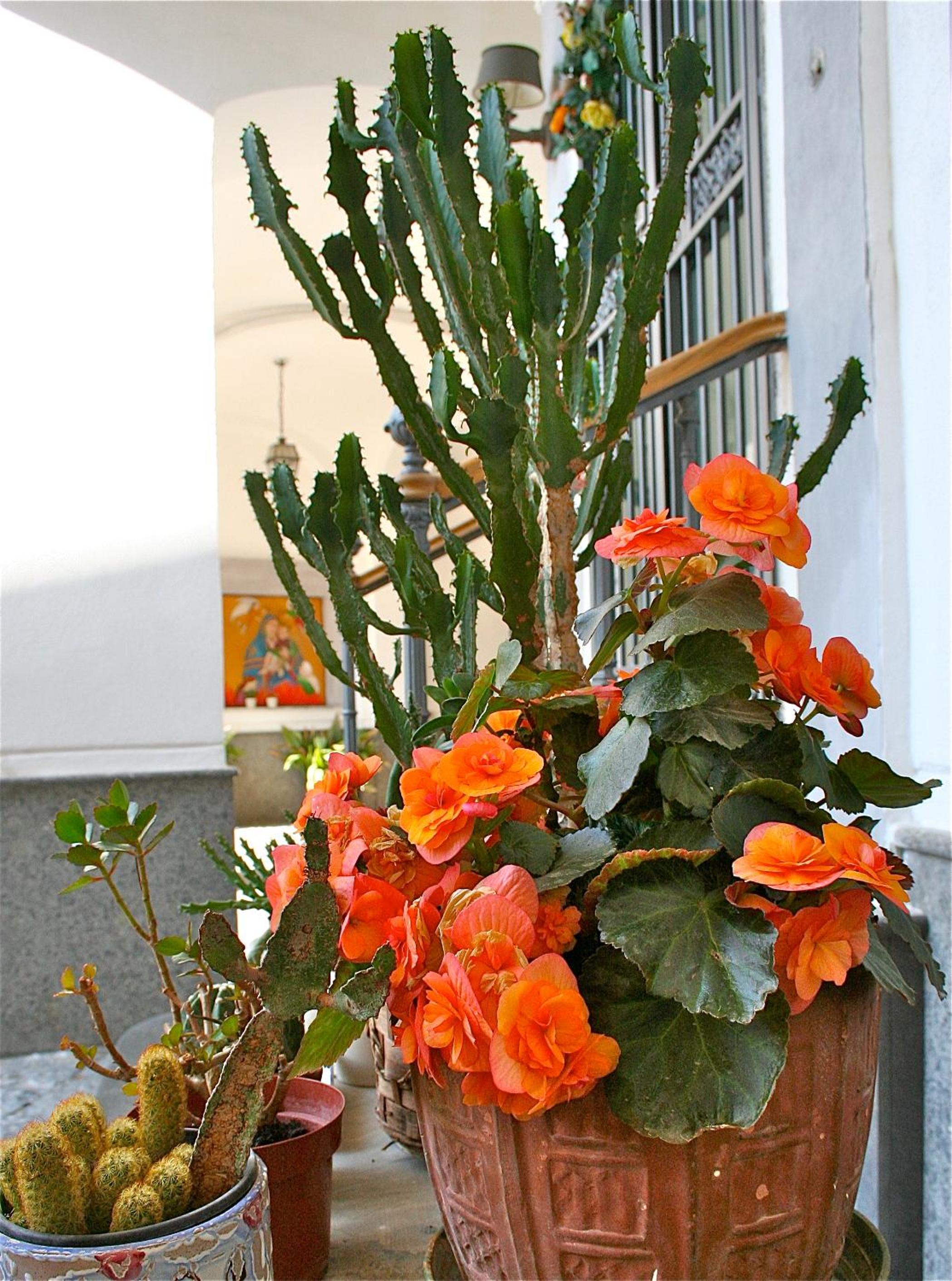 Photo 47