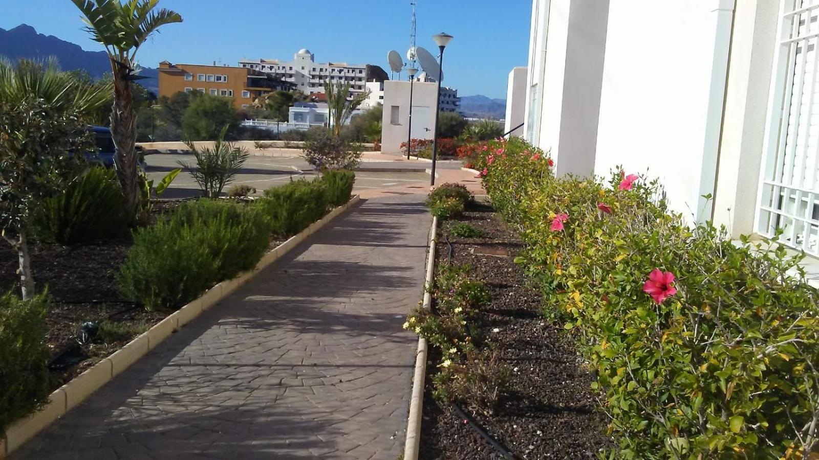 Photo 11