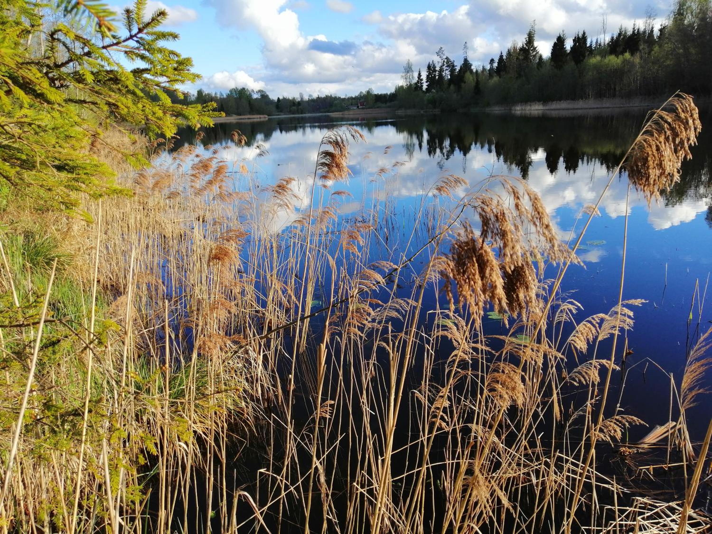 Photo 48