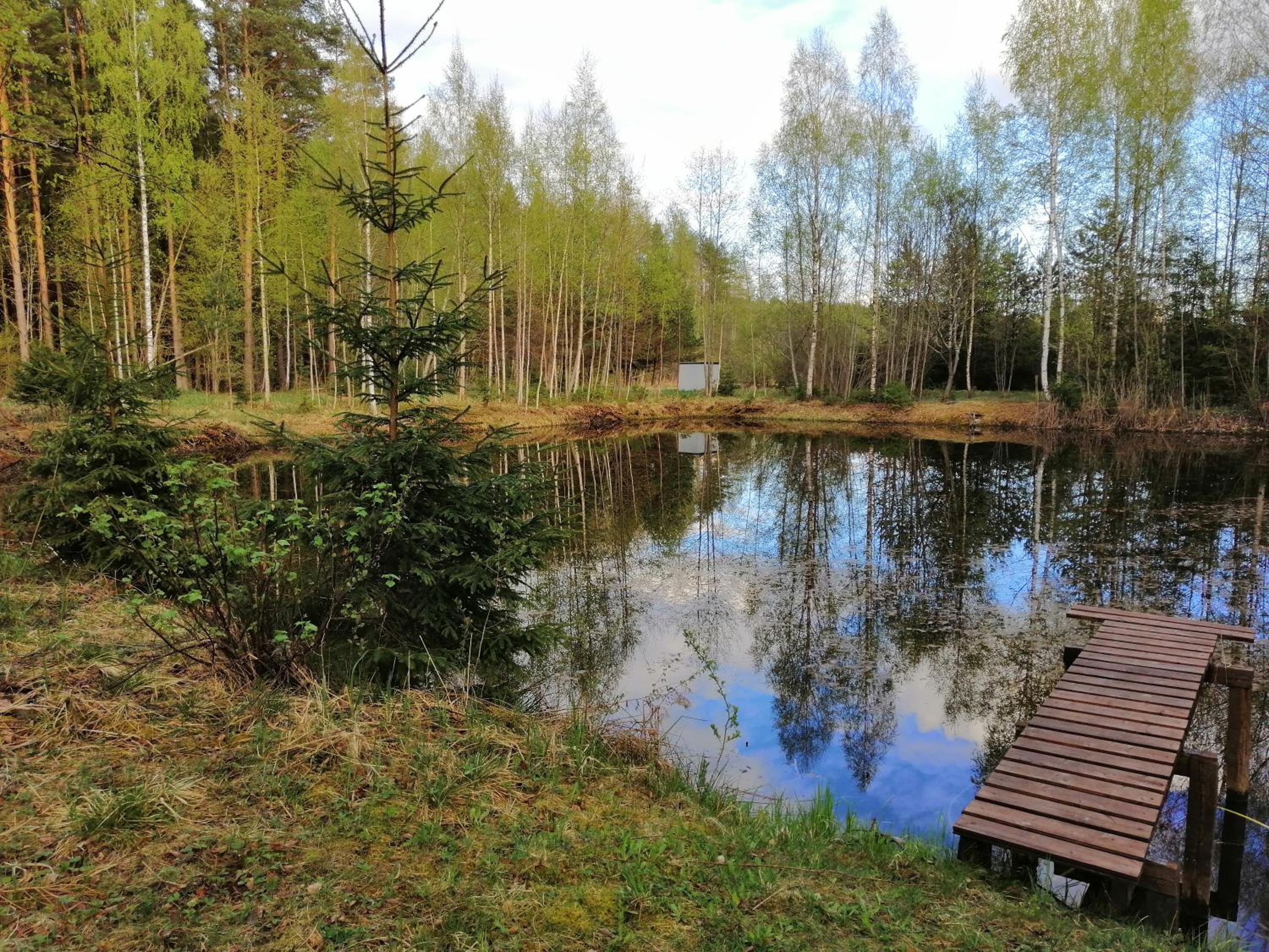 Photo 46