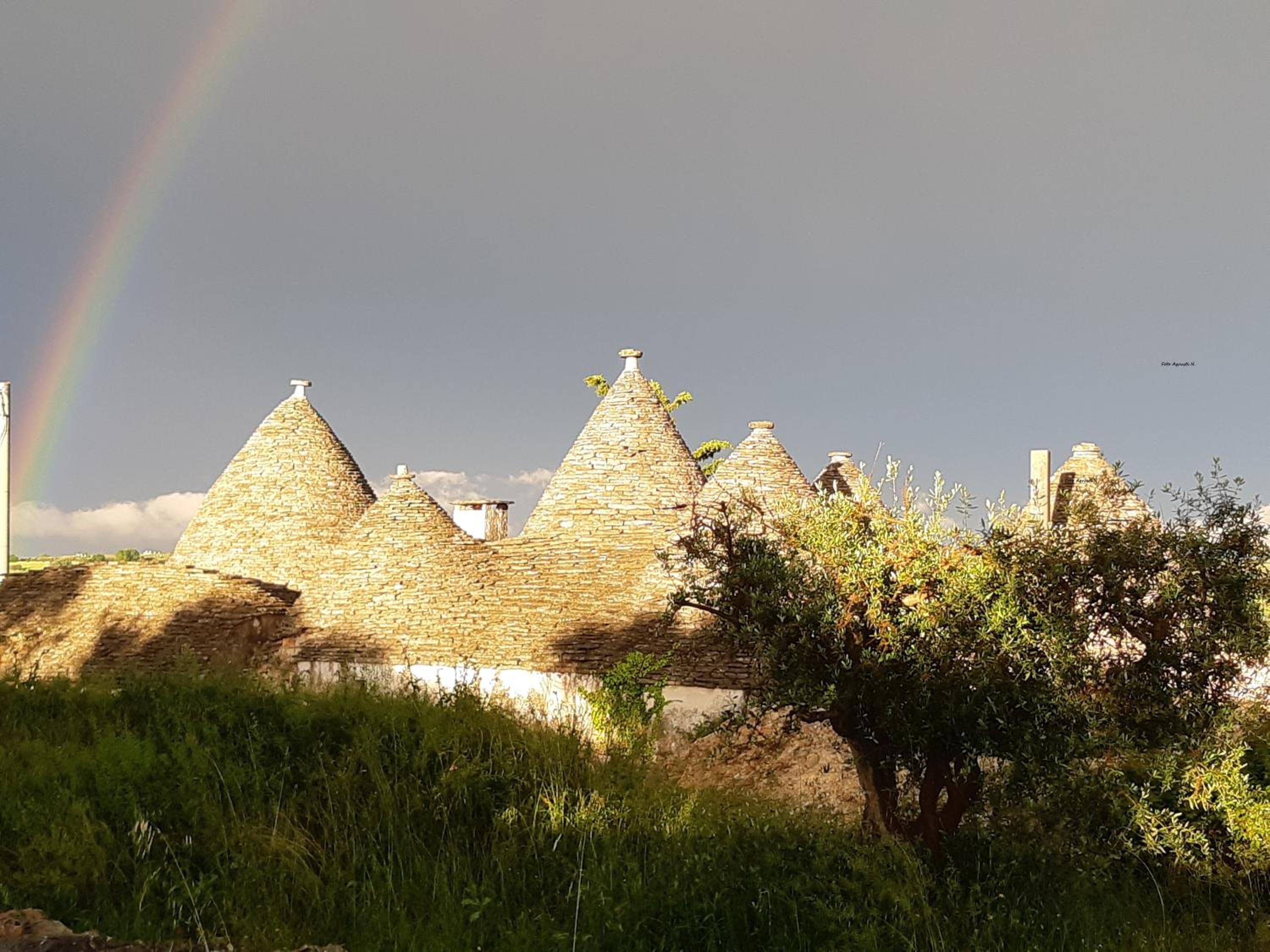 Alberobello Casa Vacanze - Pathos tra i Trulli photo 4