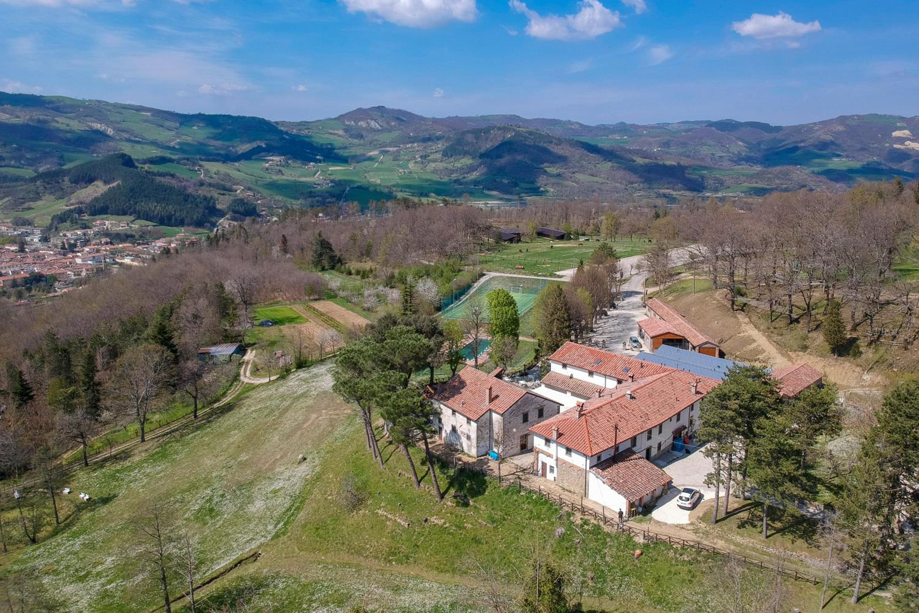 Fattoria Cà Di Gianni view 5